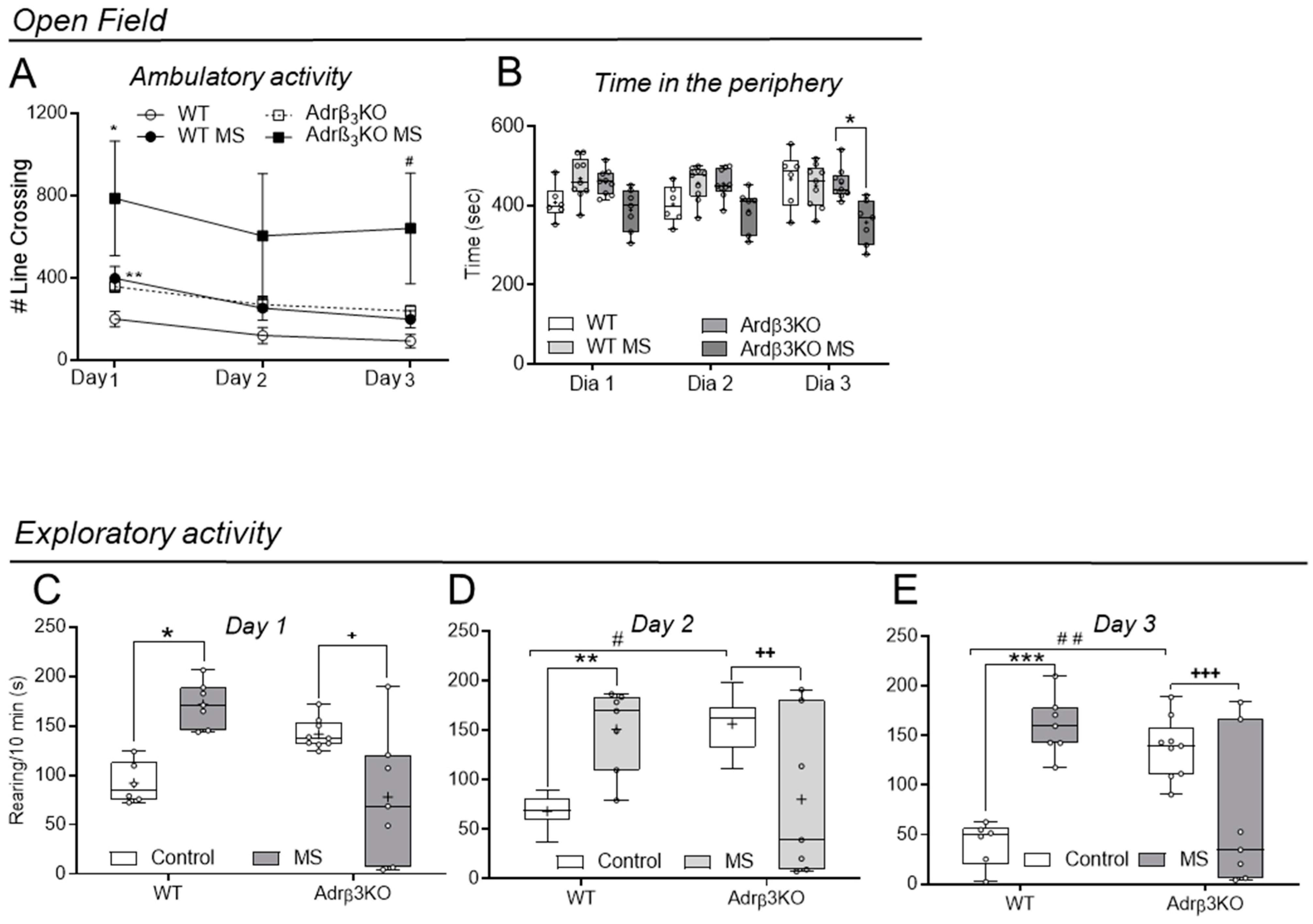 Ijms 24 10522 g004 Ijms 24 10522 g004