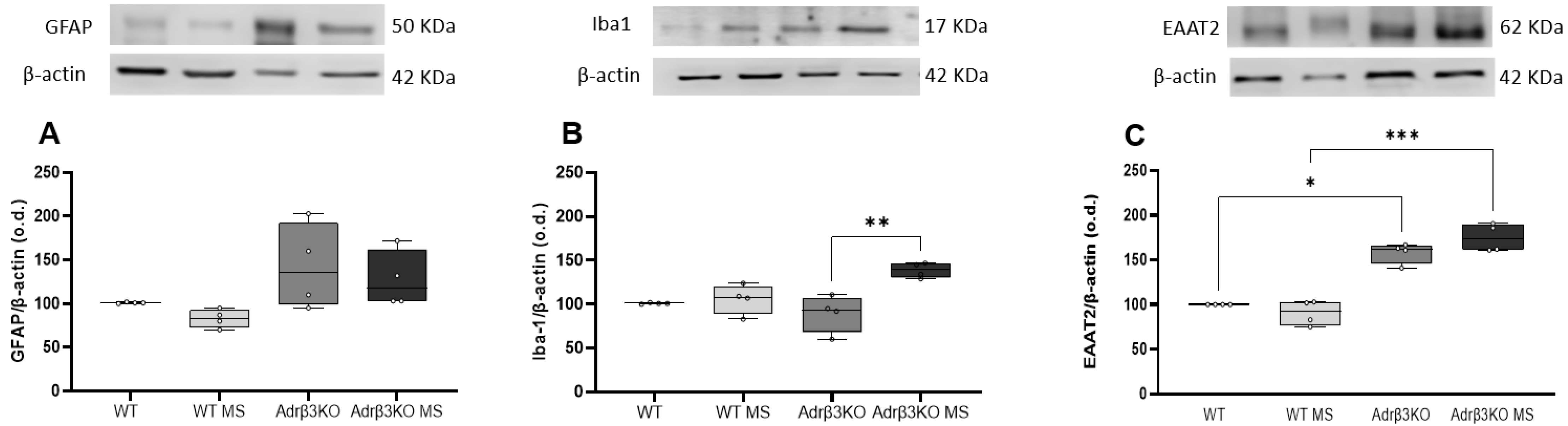 Ijms 24 10522 g006 Ijms 24 10522 g006