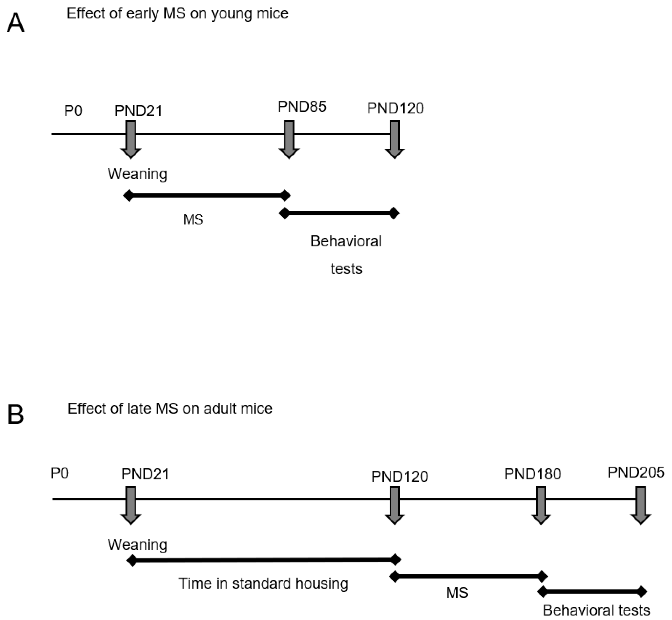 Ijms 24 10522 g008 Ijms 24 10522 g008