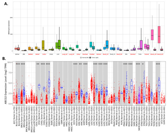 ABCG2 Gene and ABCG2 Protein Expression in Colorectal Cancer—In