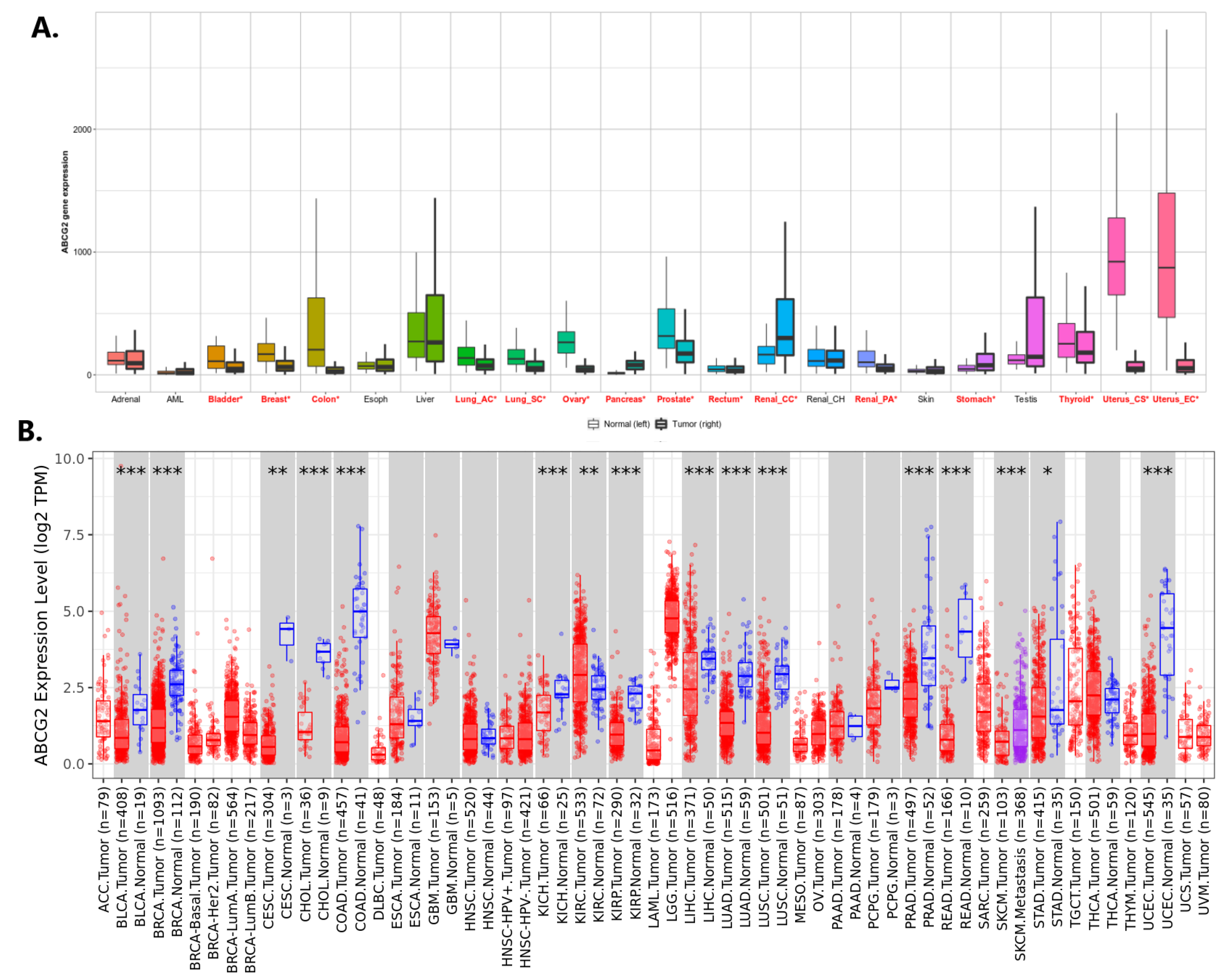 Ijms 24 10539 g003 Ijms 24 10539 g003