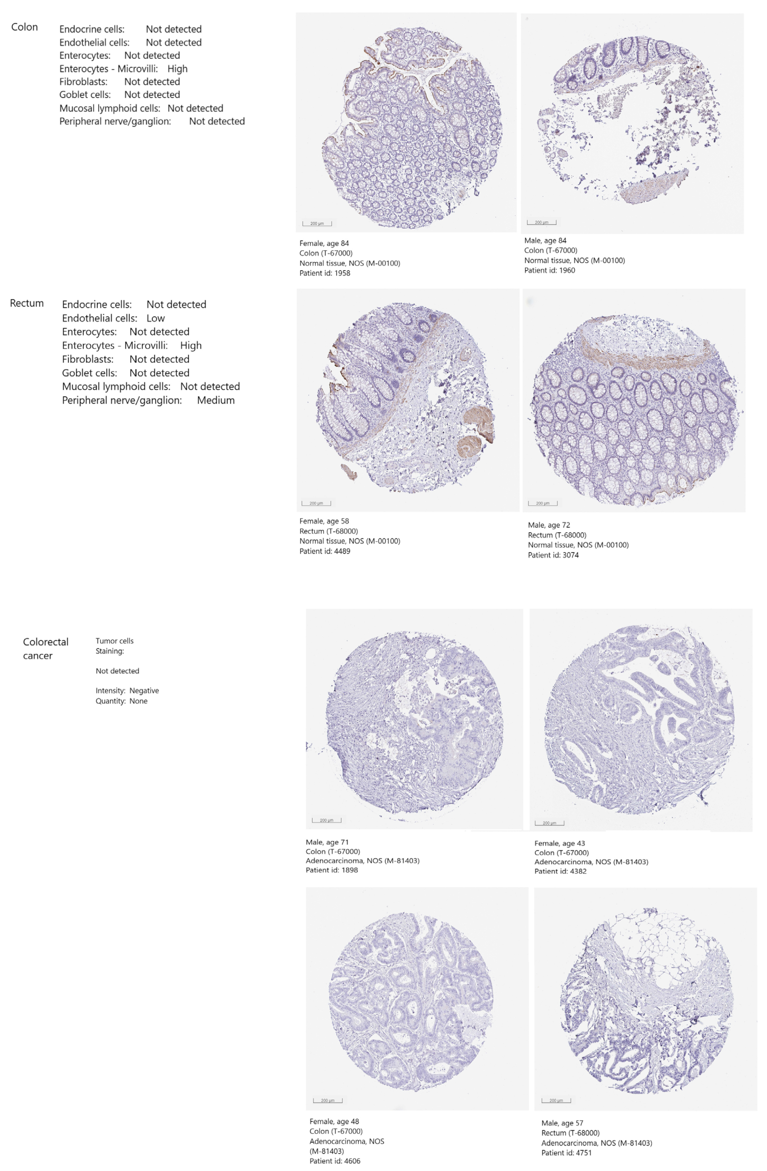 Ijms 24 10539 g007 Ijms 24 10539 g007