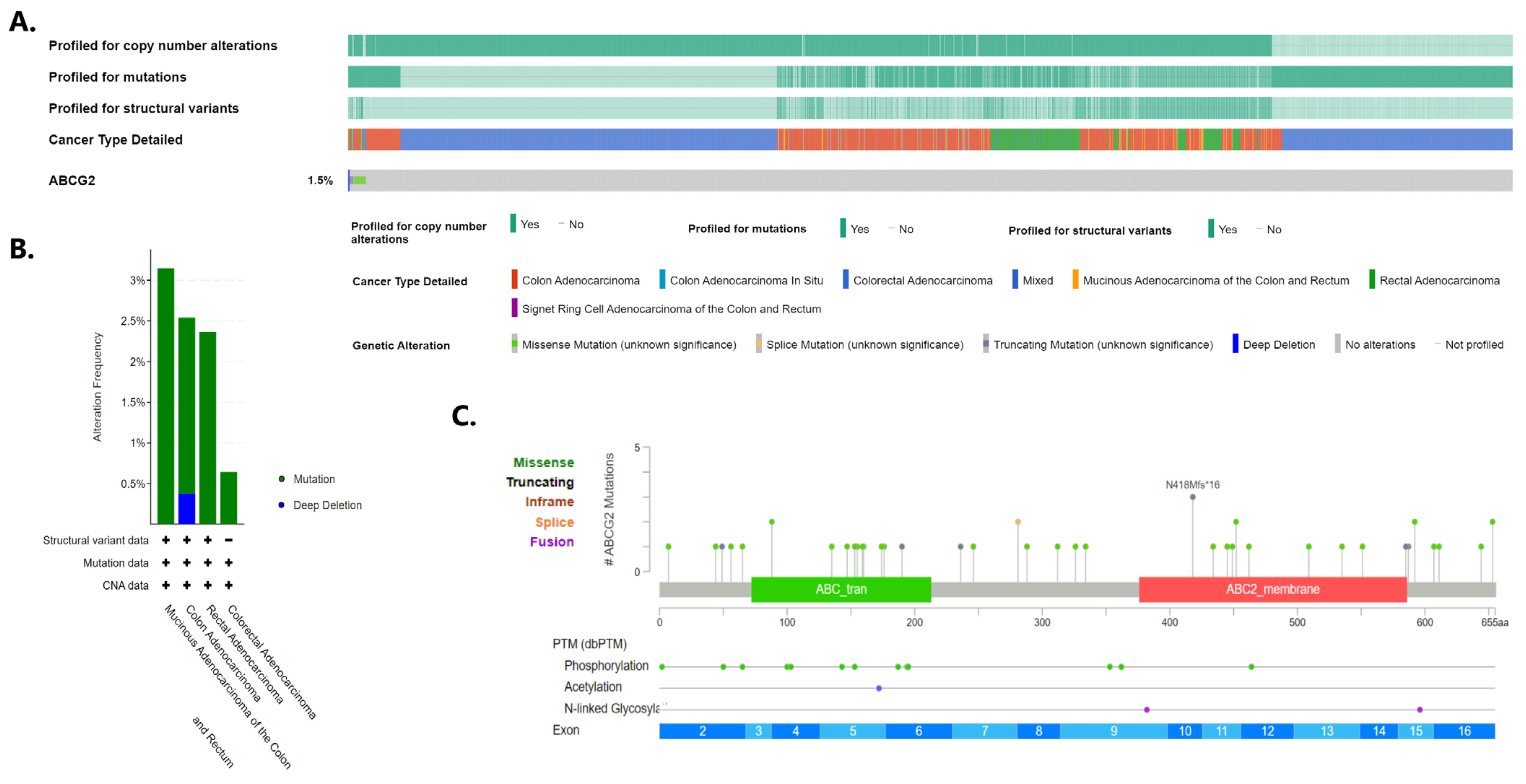 Ijms 24 10539 g008 Ijms 24 10539 g008