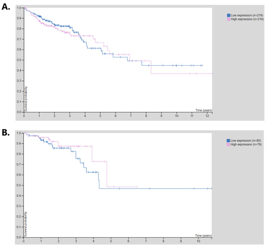 特売 in Expression Protein ABCG2 and Gene ABCG2 Colorectal Analysis Wet and Silico  Cancer—In ミュージック