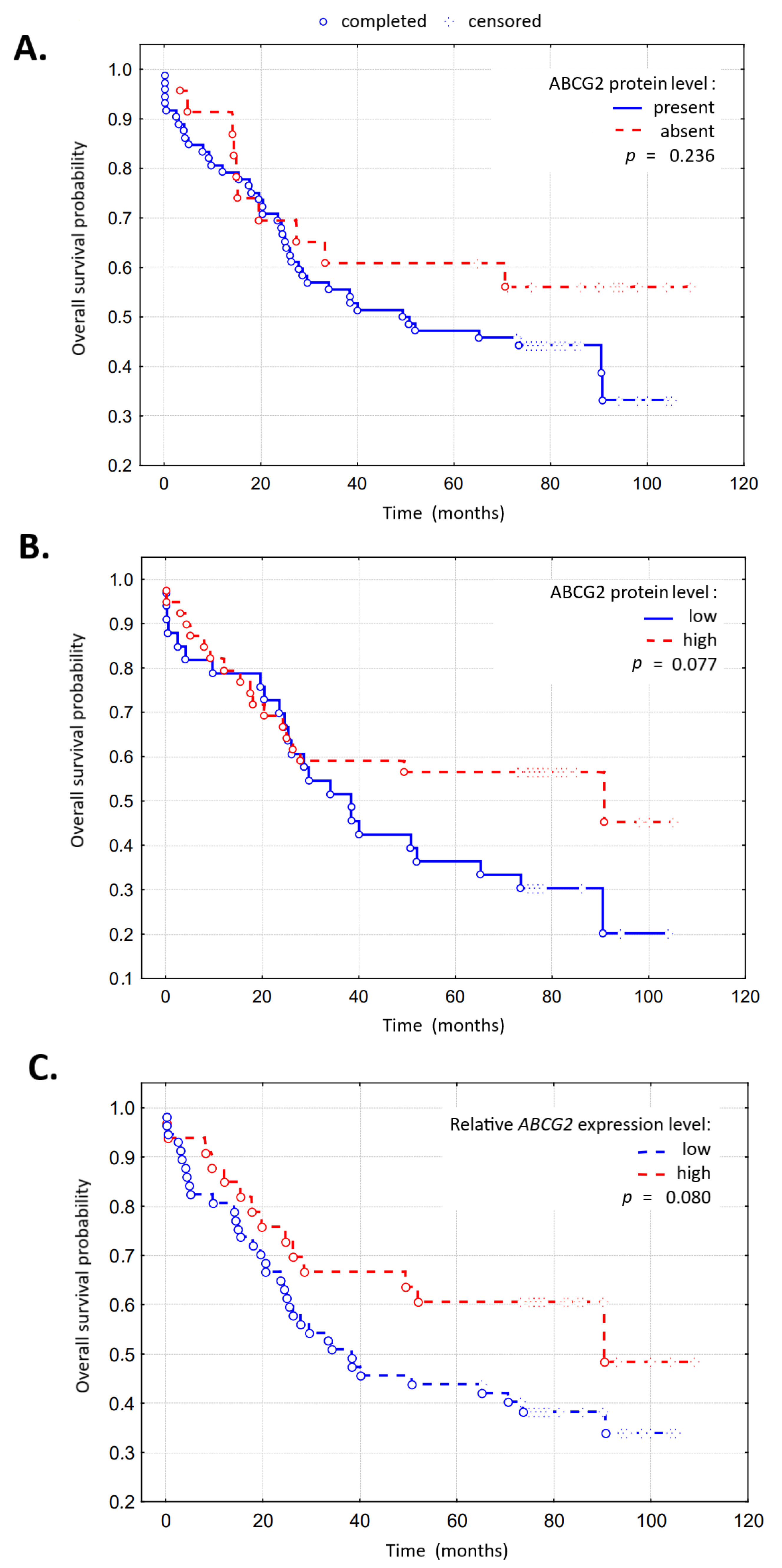 Ijms 24 10539 g020 Ijms 24 10539 g020