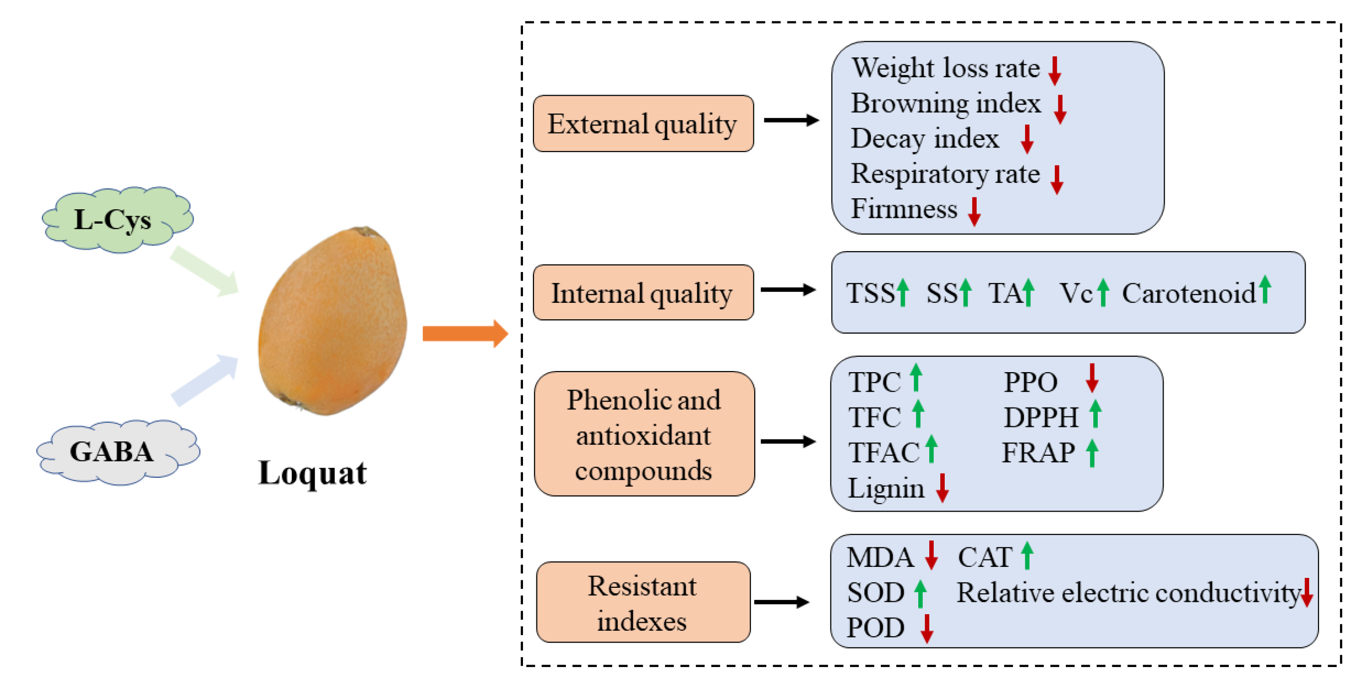 Ijms 24 10541 g009 Ijms 24 10541 g009