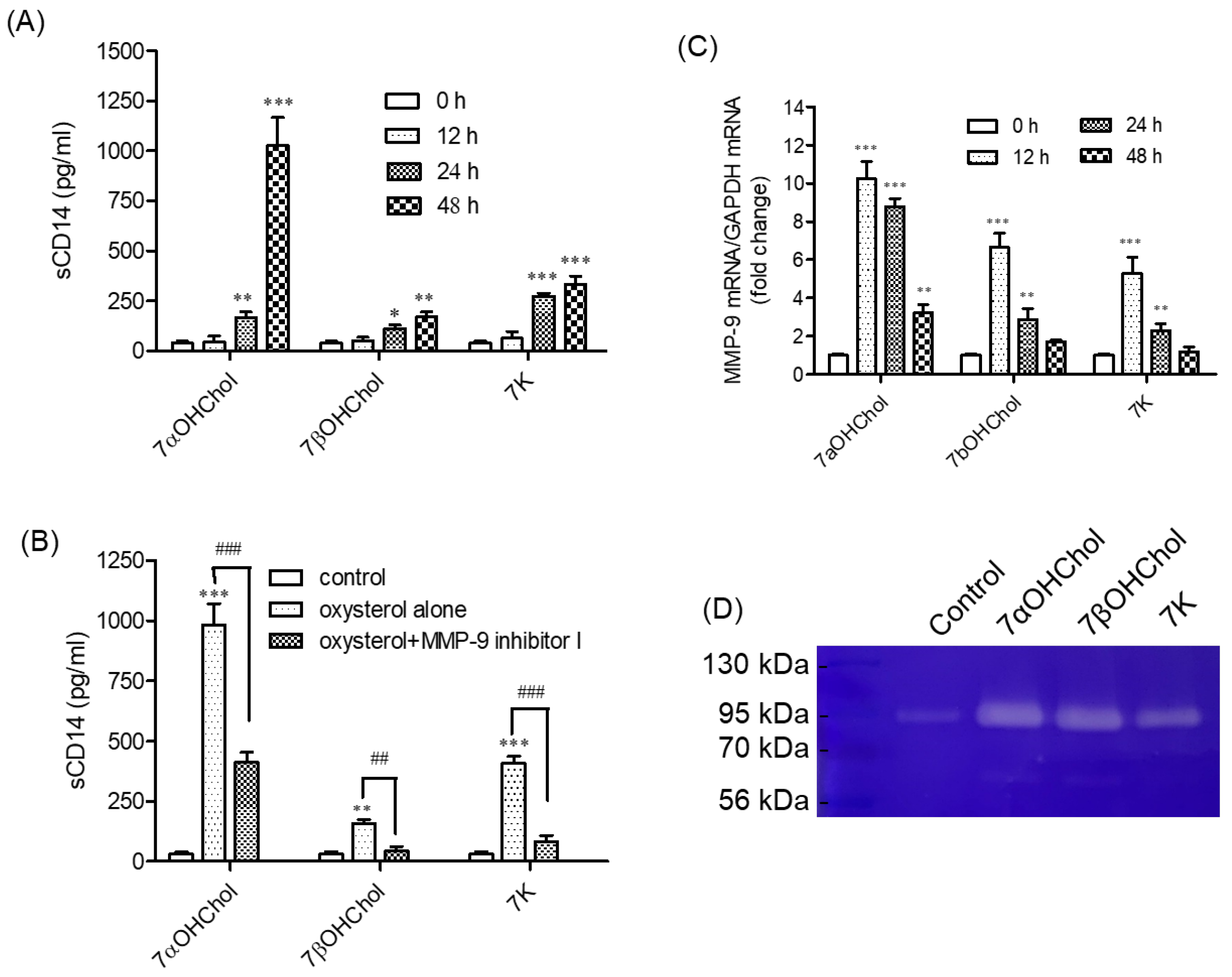 Ijms 24 10542 g002 Ijms 24 10542 g002