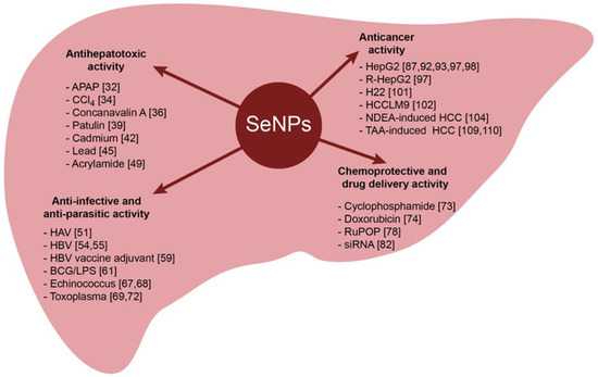 The Role of Selenium Nanoparticles in the Treatment of Liver ...