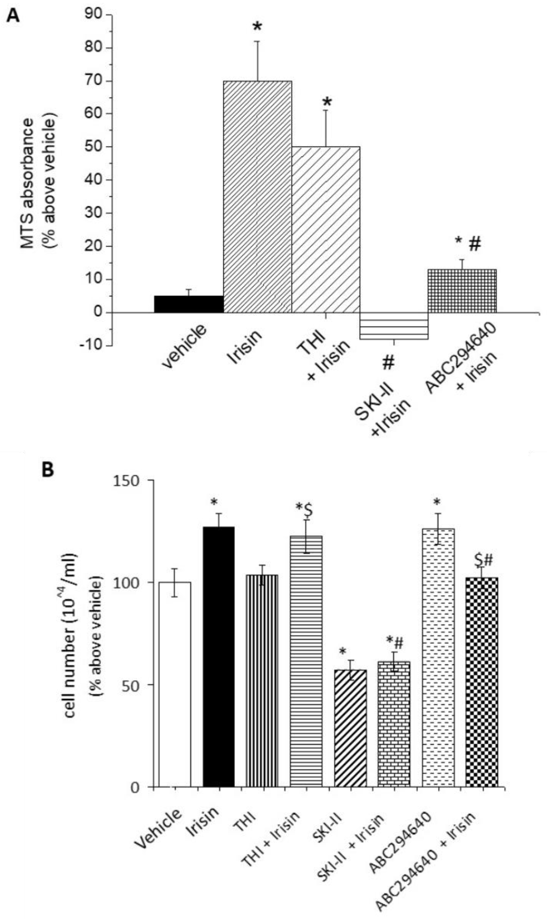 Ijms 24 10548 g002 Ijms 24 10548 g002
