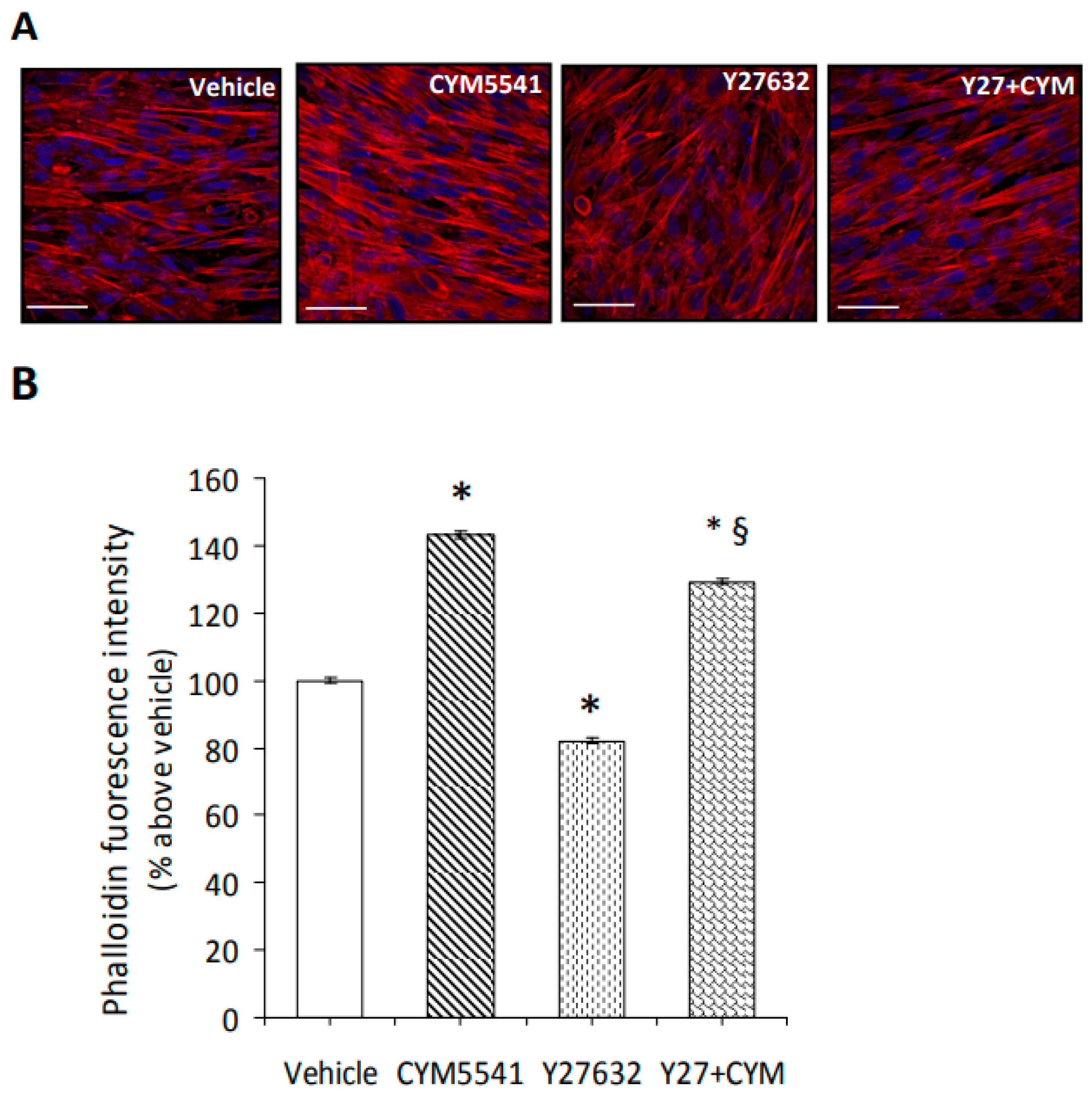 Ijms 24 10548 g006 Ijms 24 10548 g006