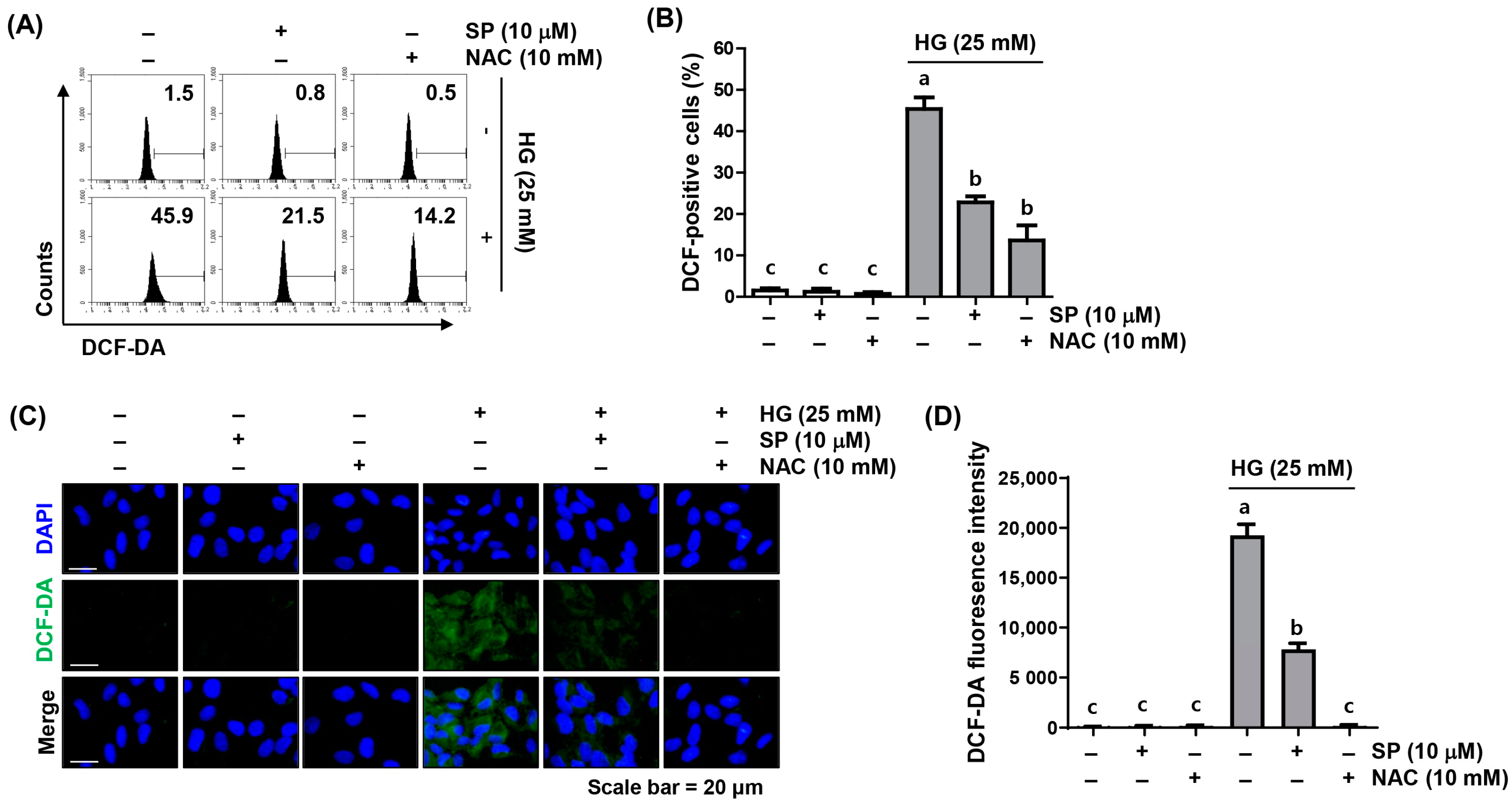 Ijms 24 10550 g002 Ijms 24 10550 g002