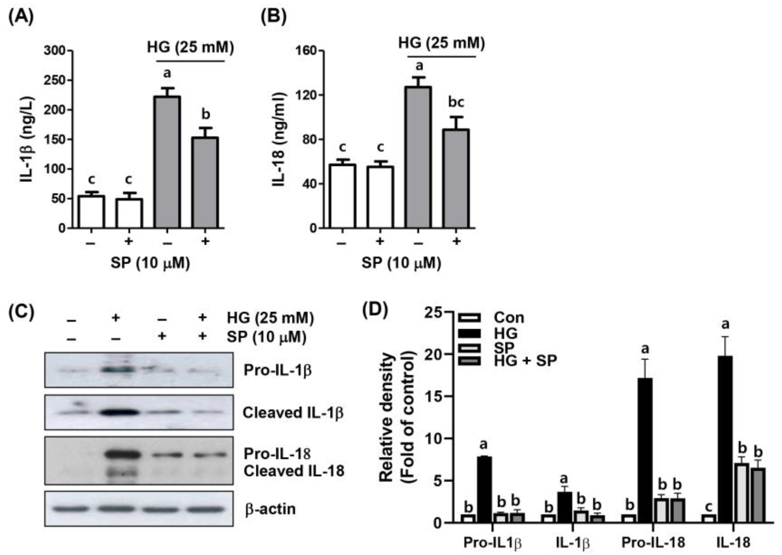 Ijms 24 10550 g004 Ijms 24 10550 g004