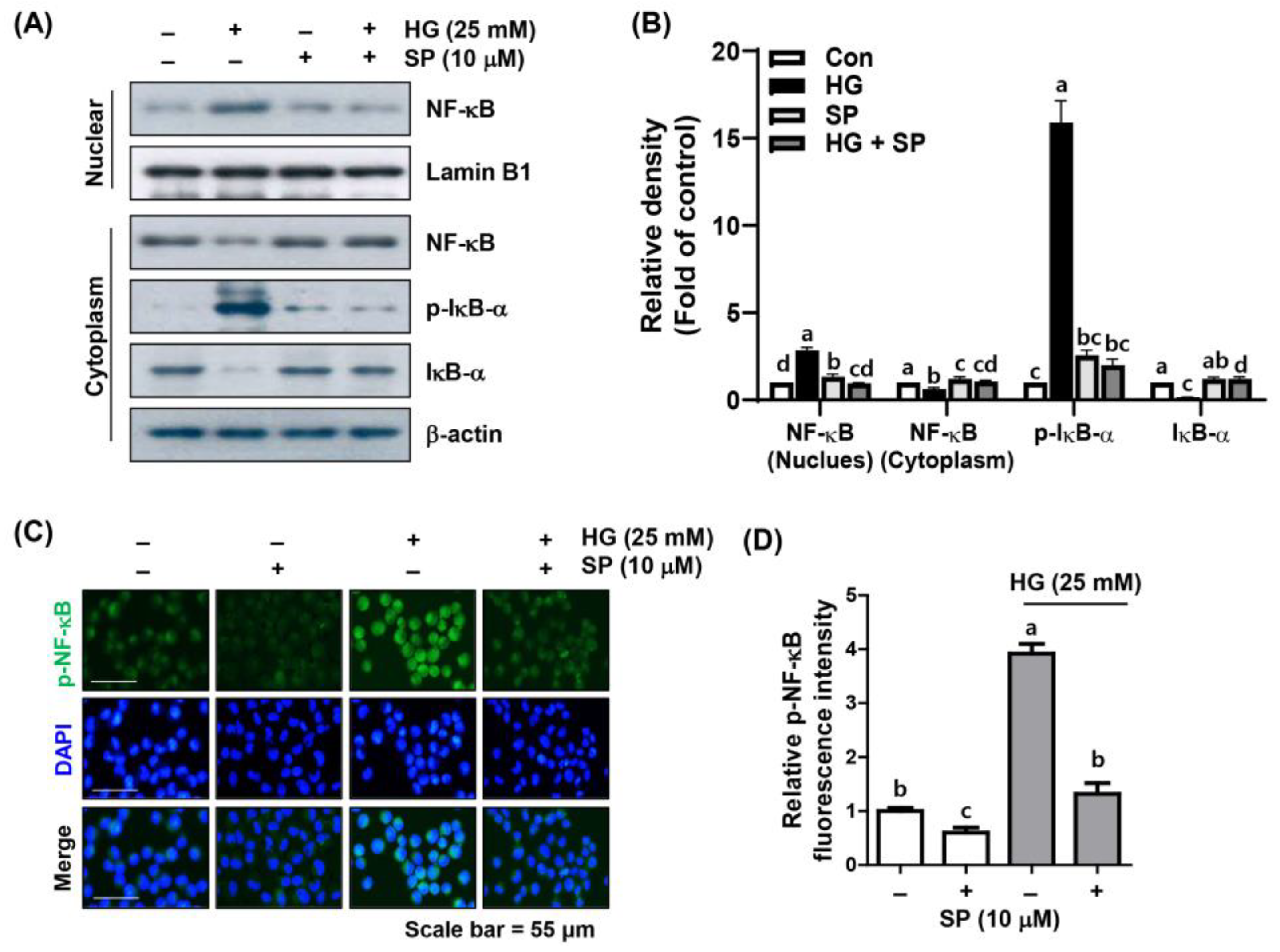 Ijms 24 10550 g005 Ijms 24 10550 g005