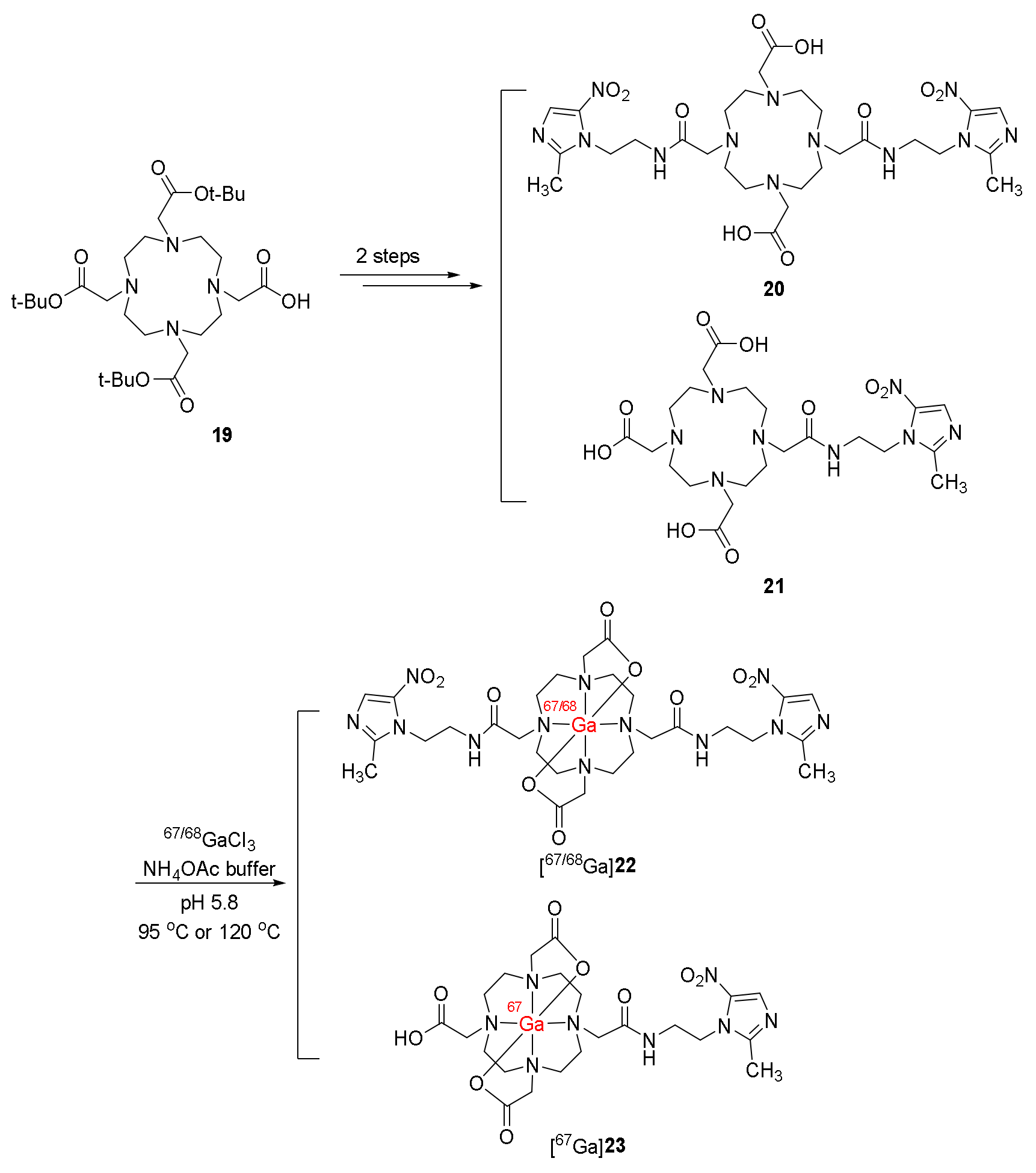 Ijms 24 10552 sch005 Ijms 24 10552 sch005