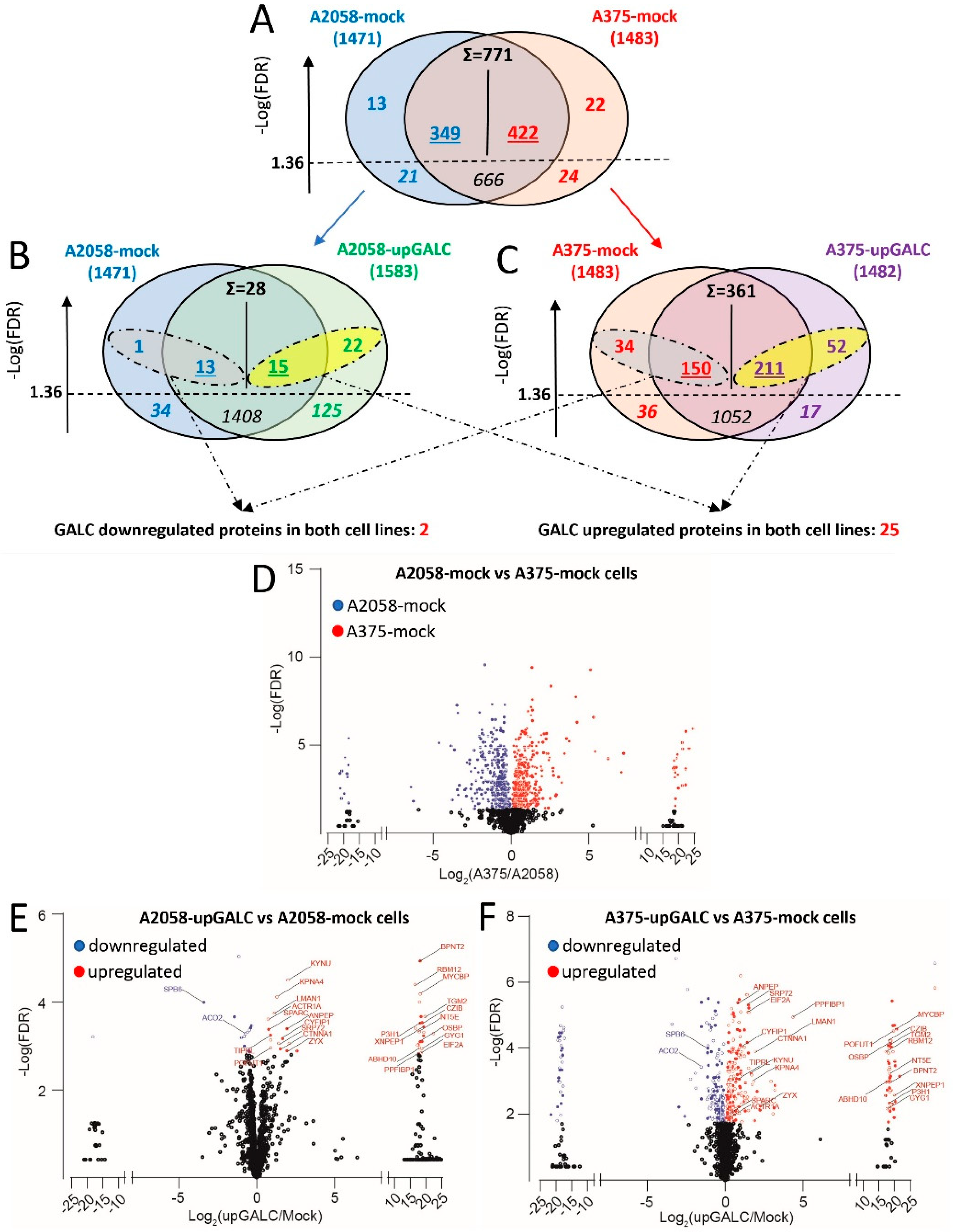 Ijms 24 10555 g002 Ijms 24 10555 g002