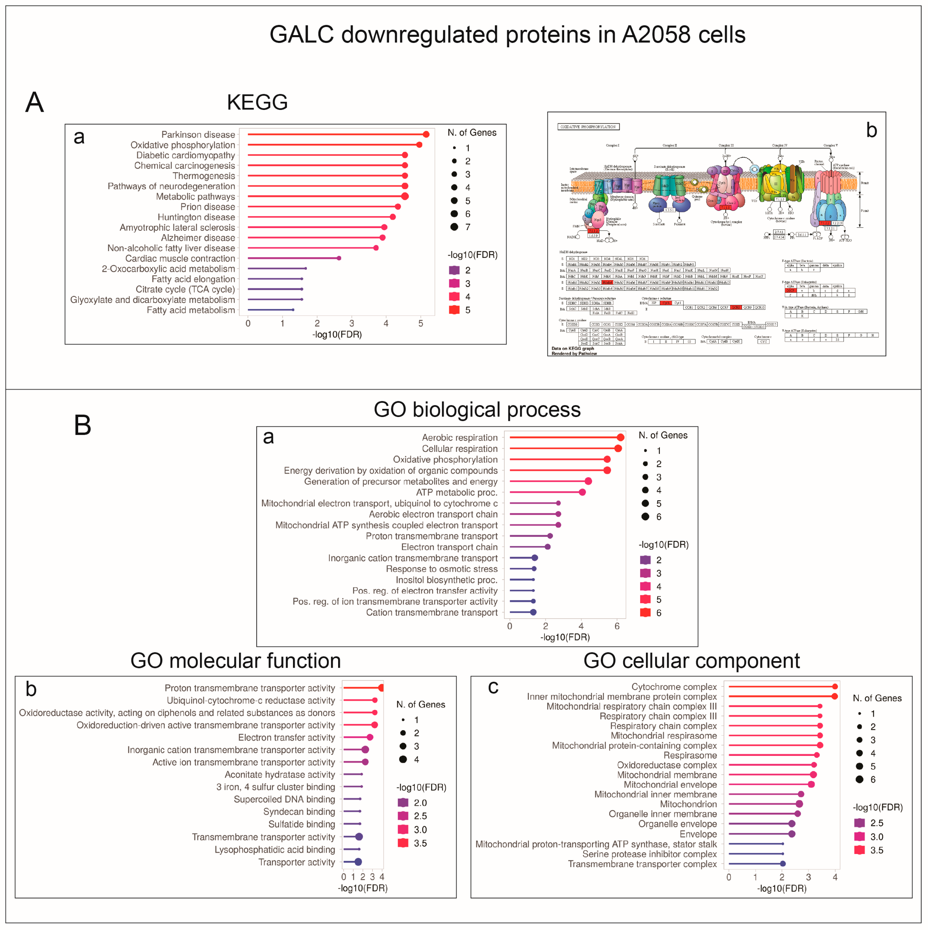 Ijms 24 10555 g006 Ijms 24 10555 g006
