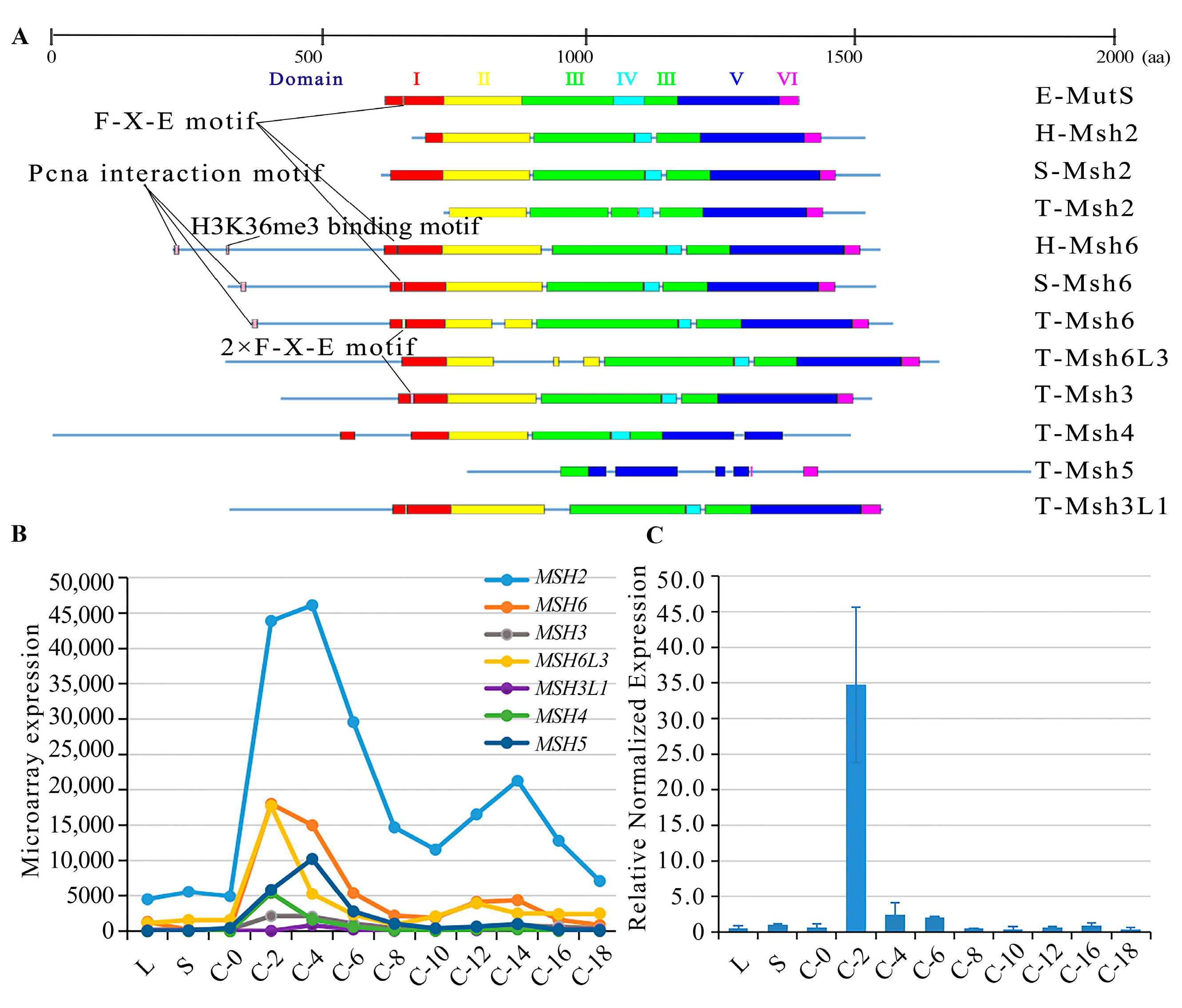 Ijms 24 10559 g001 Ijms 24 10559 g001