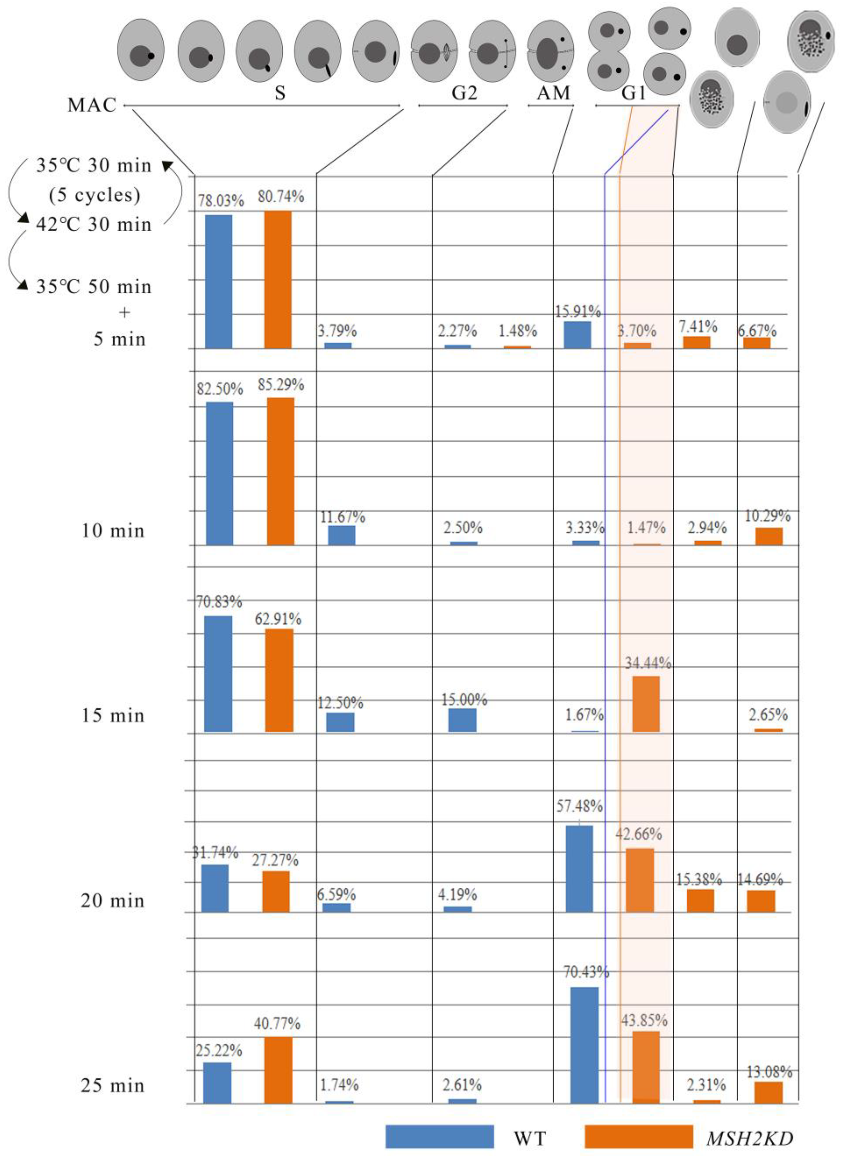 Ijms 24 10559 g005 Ijms 24 10559 g005