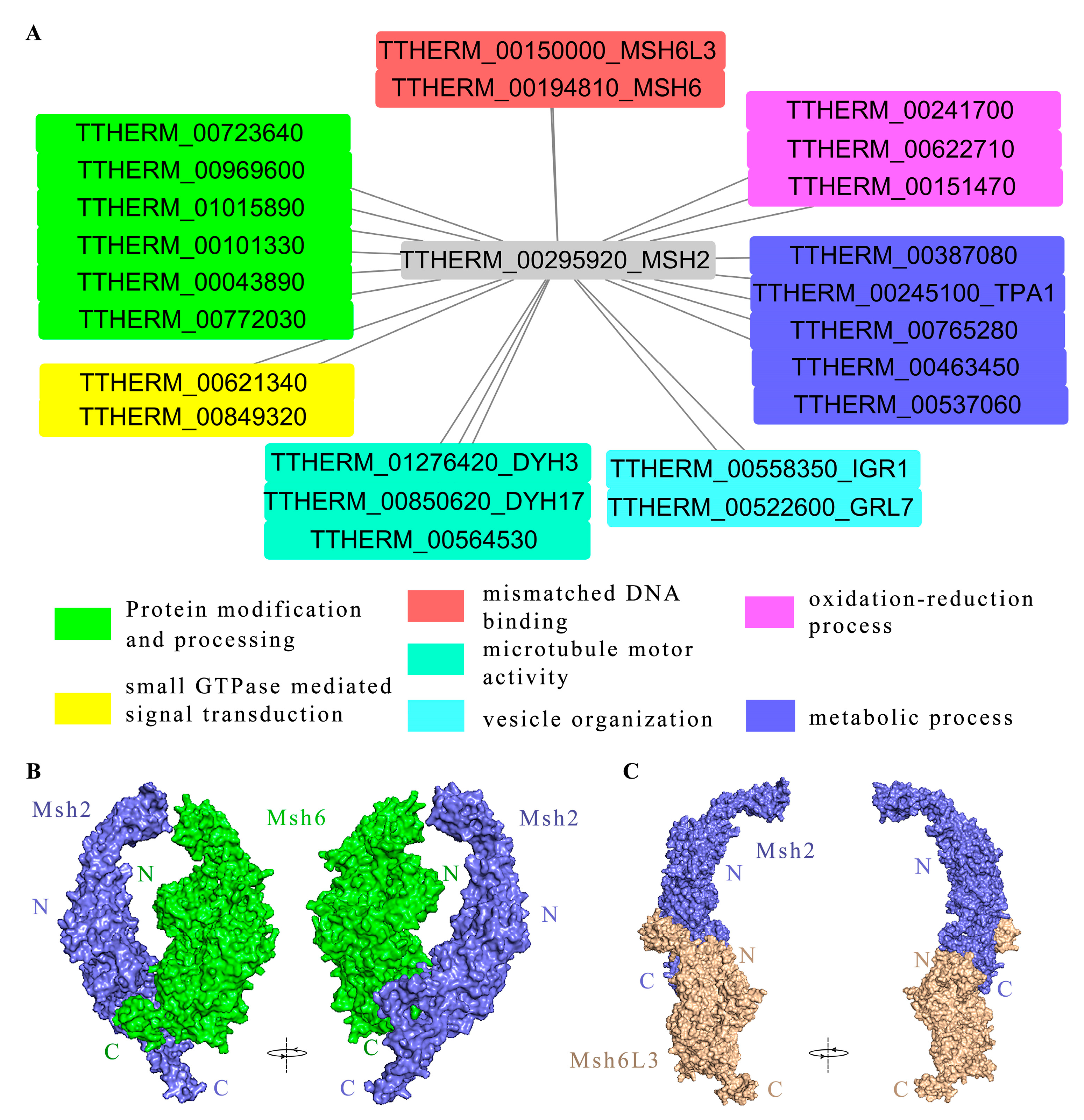 Ijms 24 10559 g007 Ijms 24 10559 g007