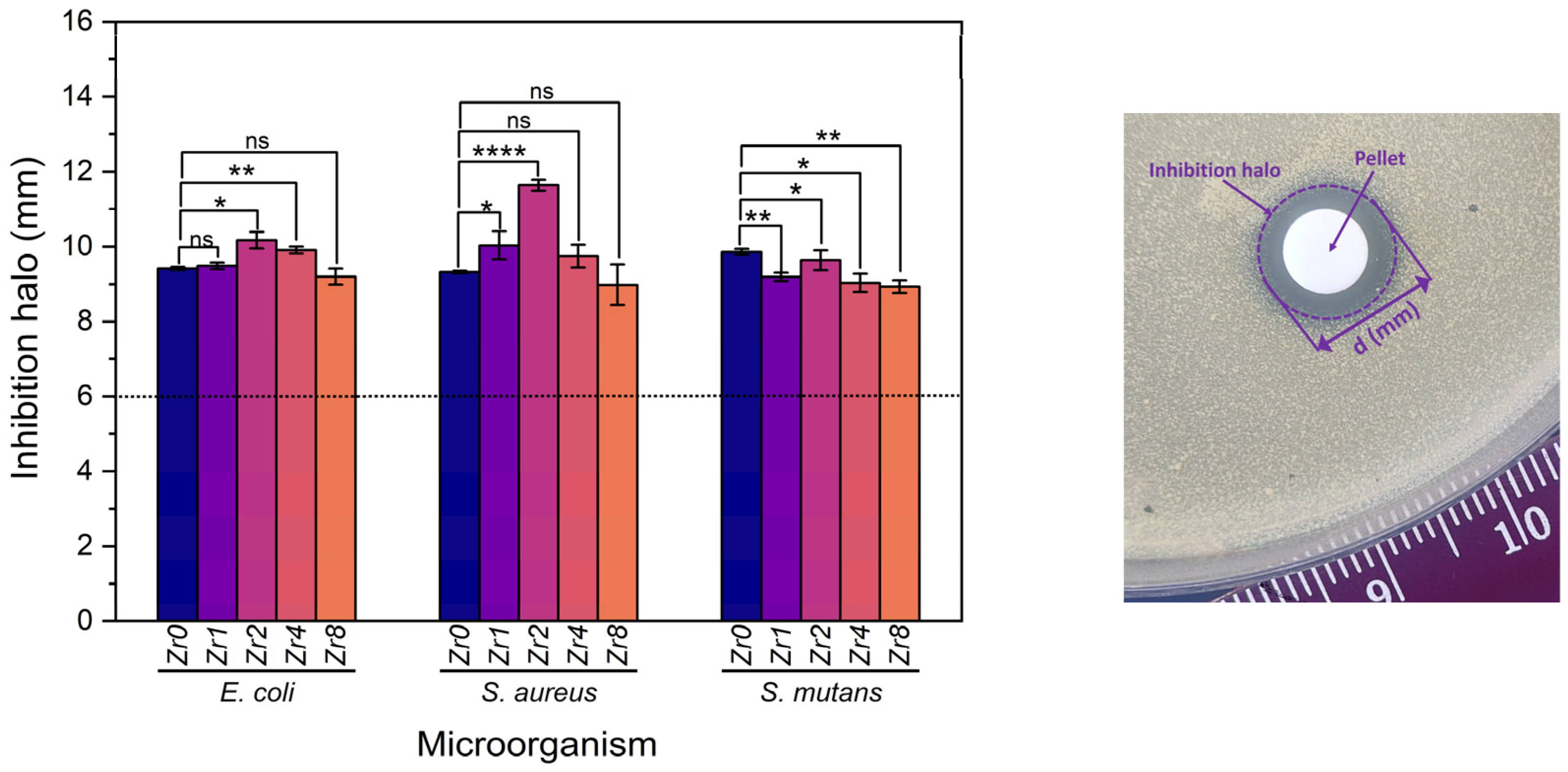 Ijms 24 10571 g009 Ijms 24 10571 g009