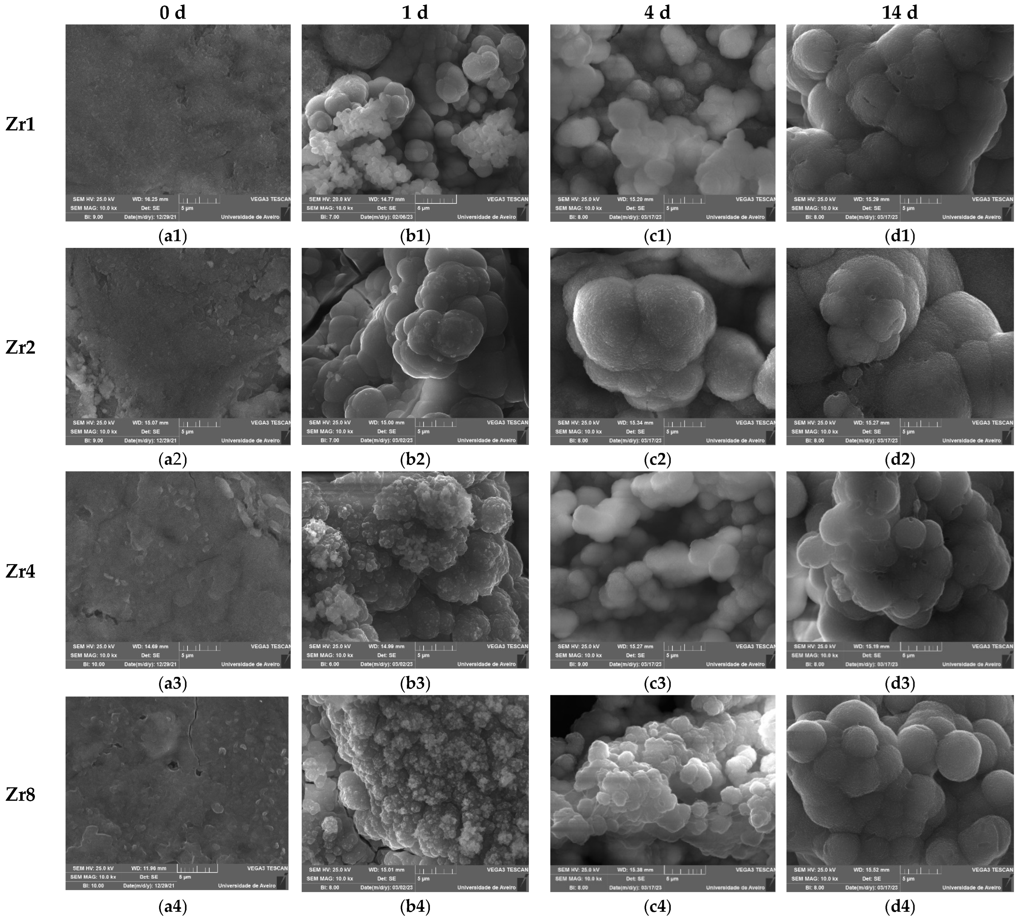 Ijms 24 10571 g012 Ijms 24 10571 g012