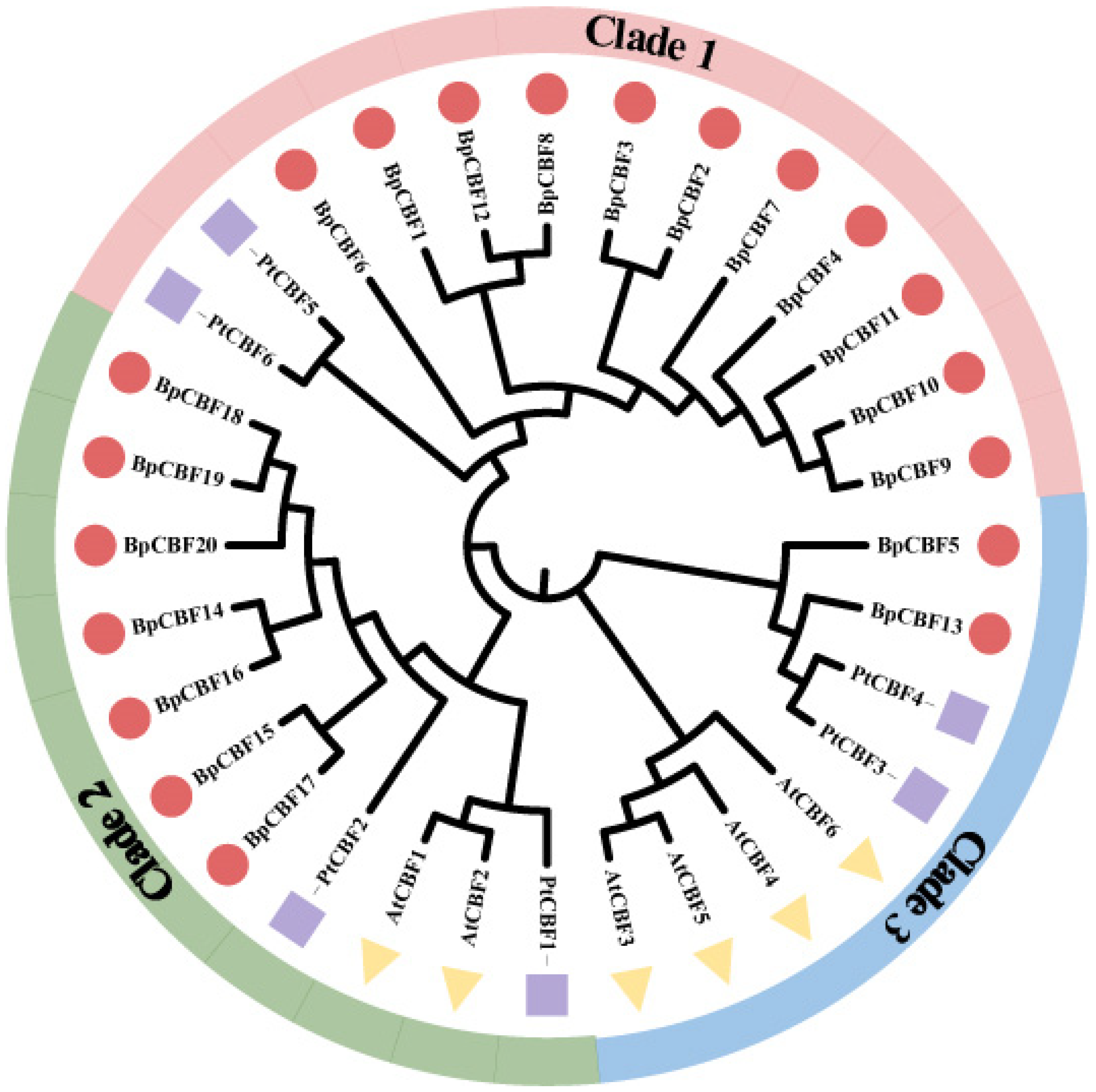 Ijms 24 10573 g001 Ijms 24 10573 g001