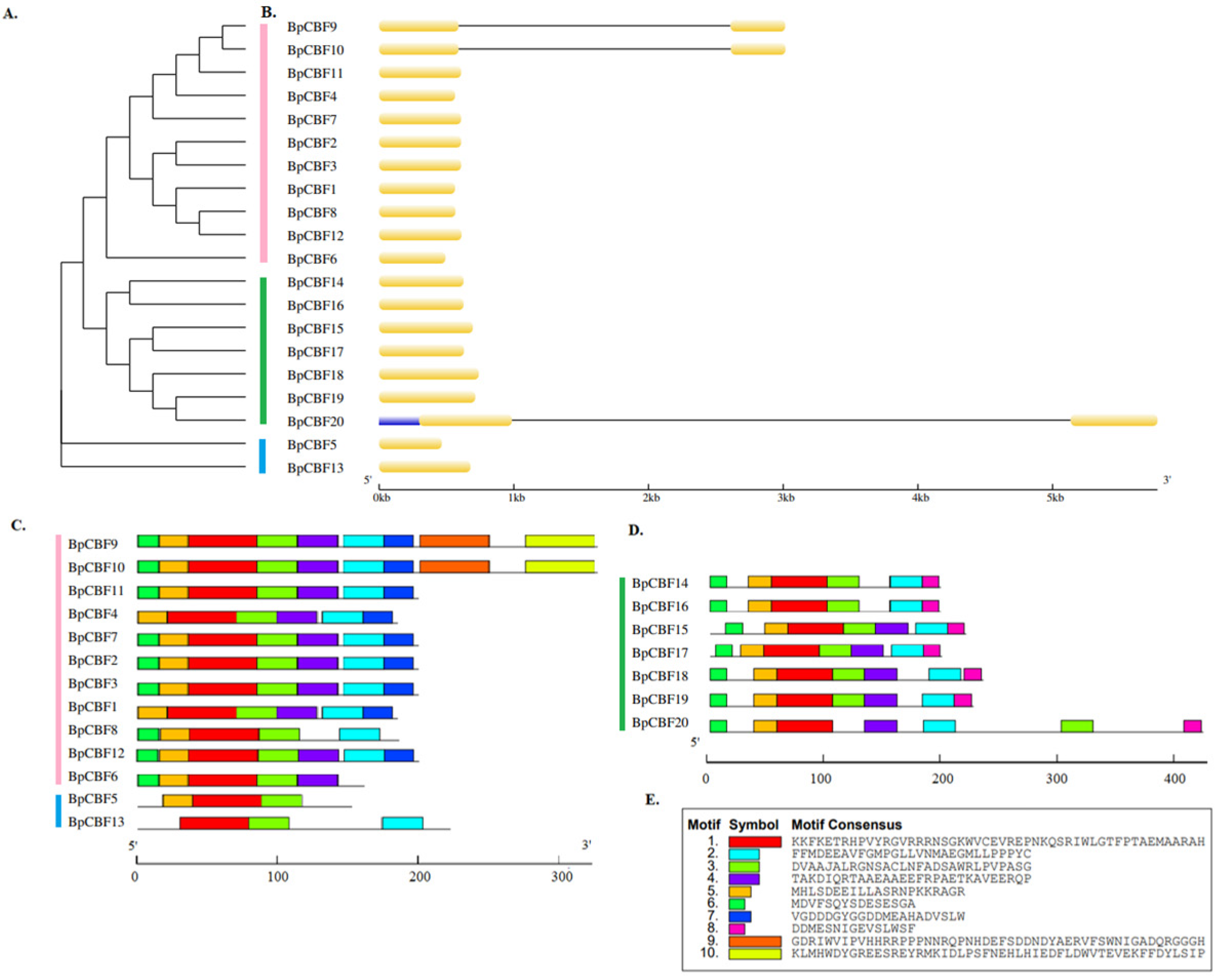 Ijms 24 10573 g002 Ijms 24 10573 g002
