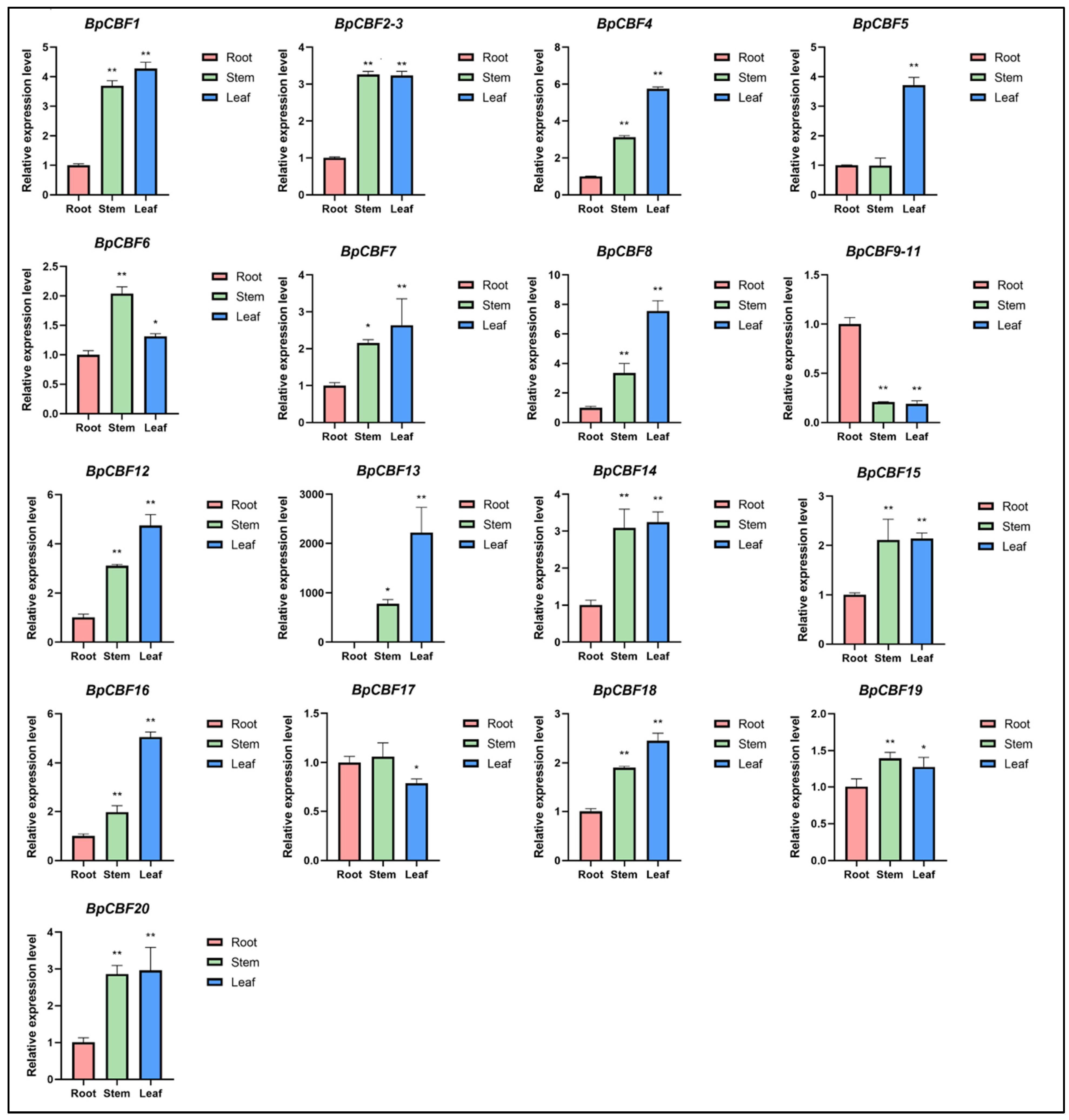 Ijms 24 10573 g007 Ijms 24 10573 g007