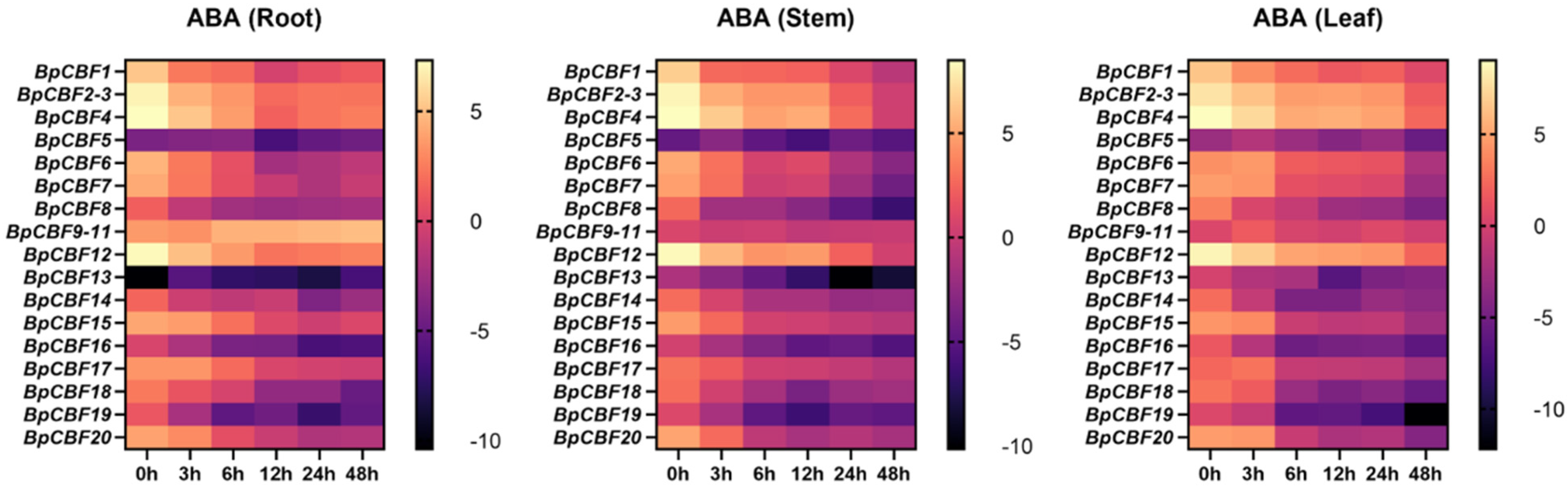 Ijms 24 10573 g008 Ijms 24 10573 g008
