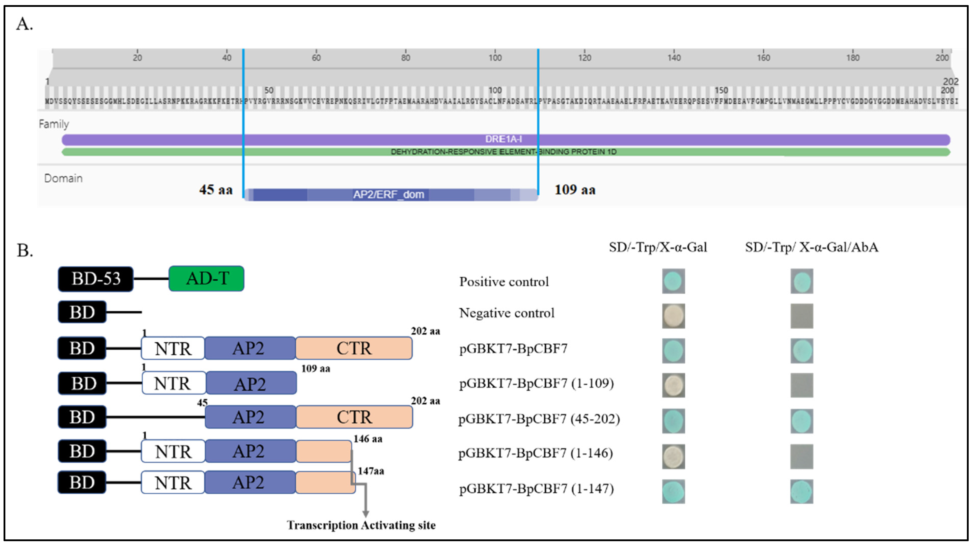Ijms 24 10573 g011 Ijms 24 10573 g011