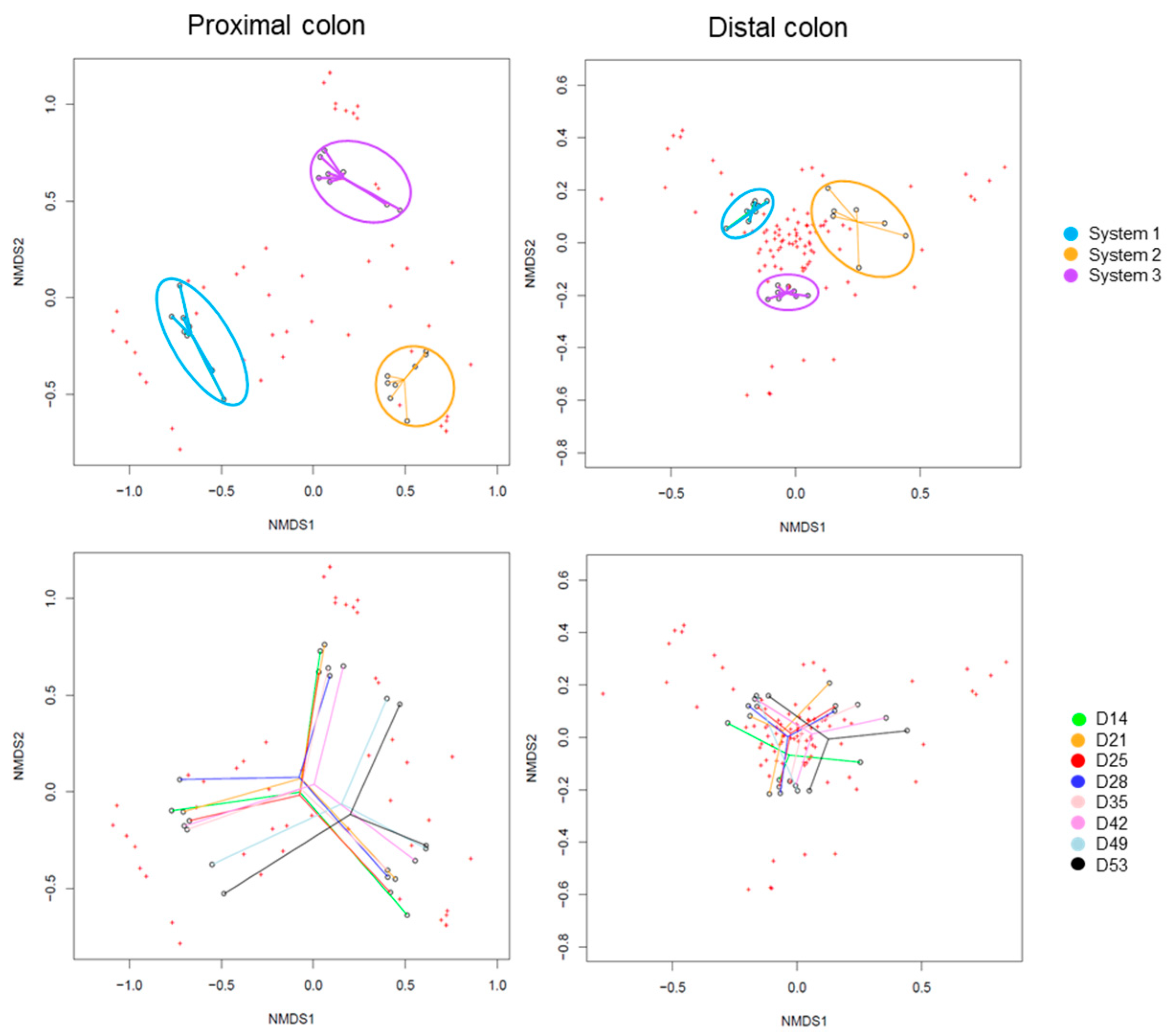 IJMS | Free Full-Text | Phage Targeting Neonatal Meningitis E. coli K1 ...