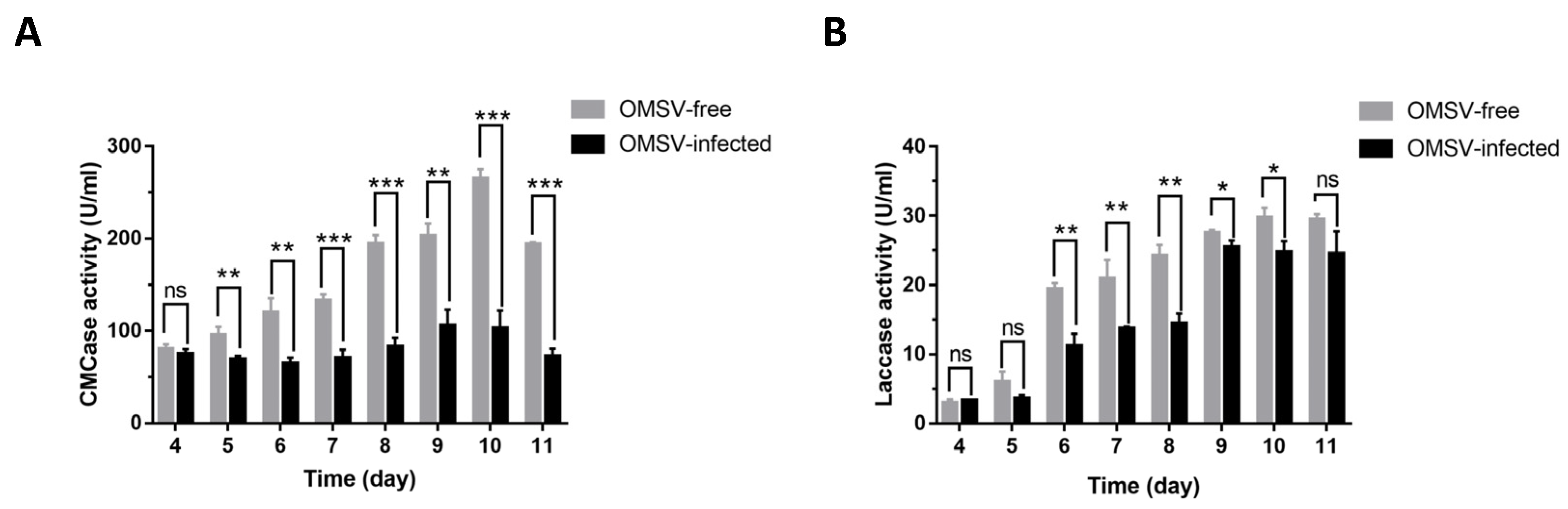 Ijms 24 10584 g005 Ijms 24 10584 g005