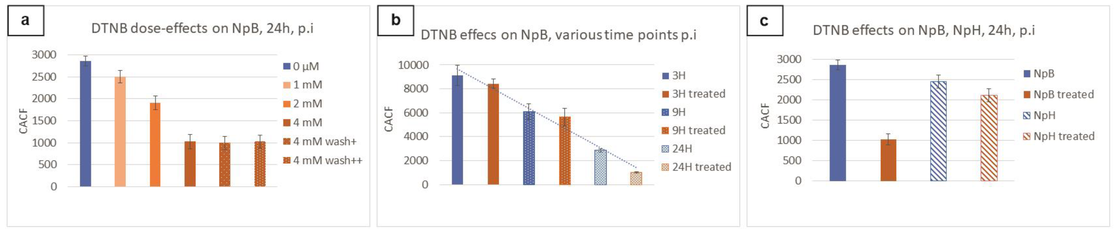 Ijms 24 10586 g005 Ijms 24 10586 g005