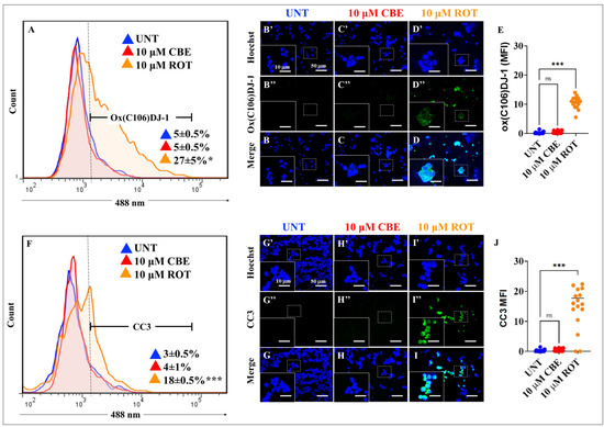 Rotenone Blocks the Glucocerebrosidase Enzyme and Induces