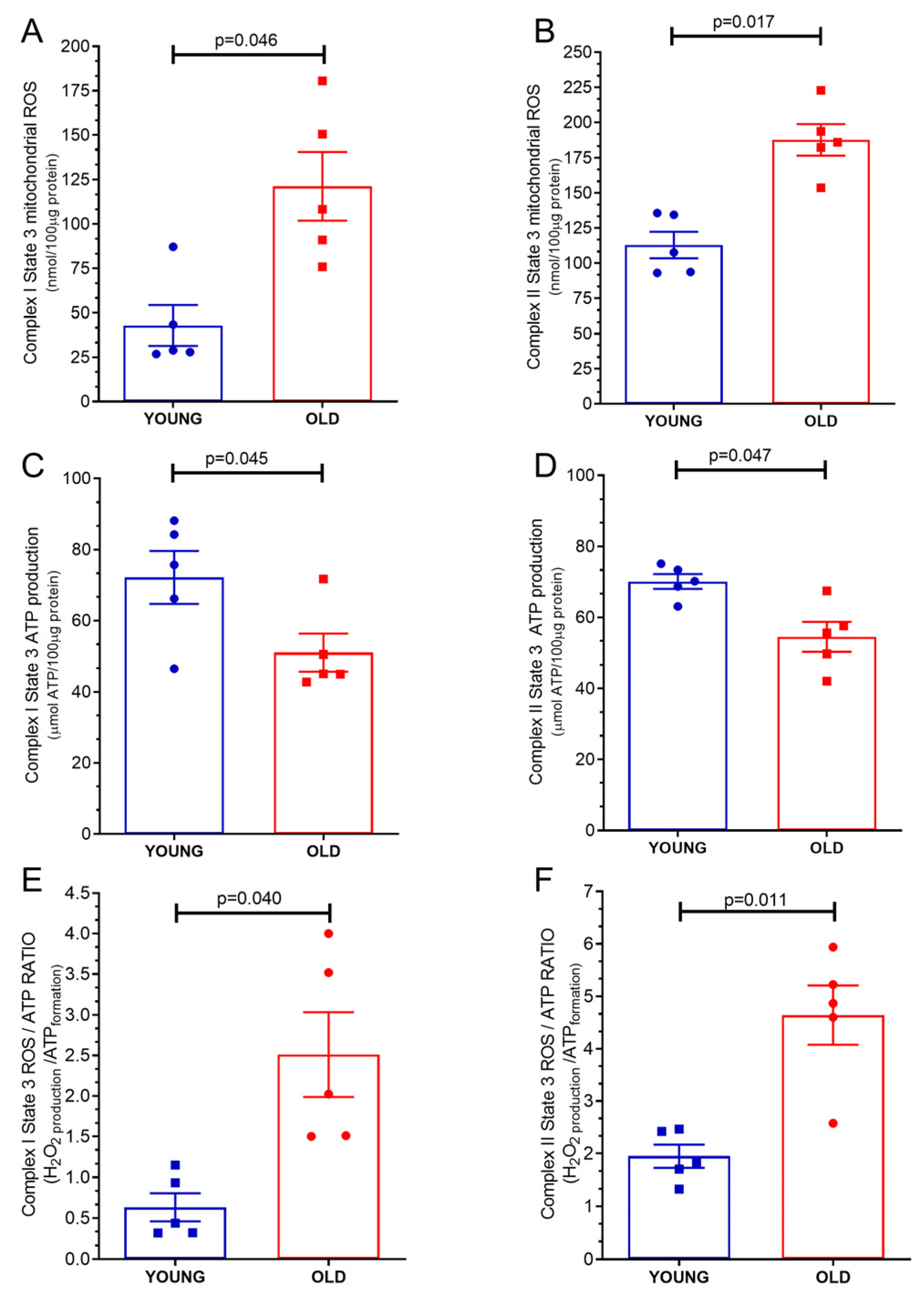 Ijms 24 10591 g002 Ijms 24 10591 g002