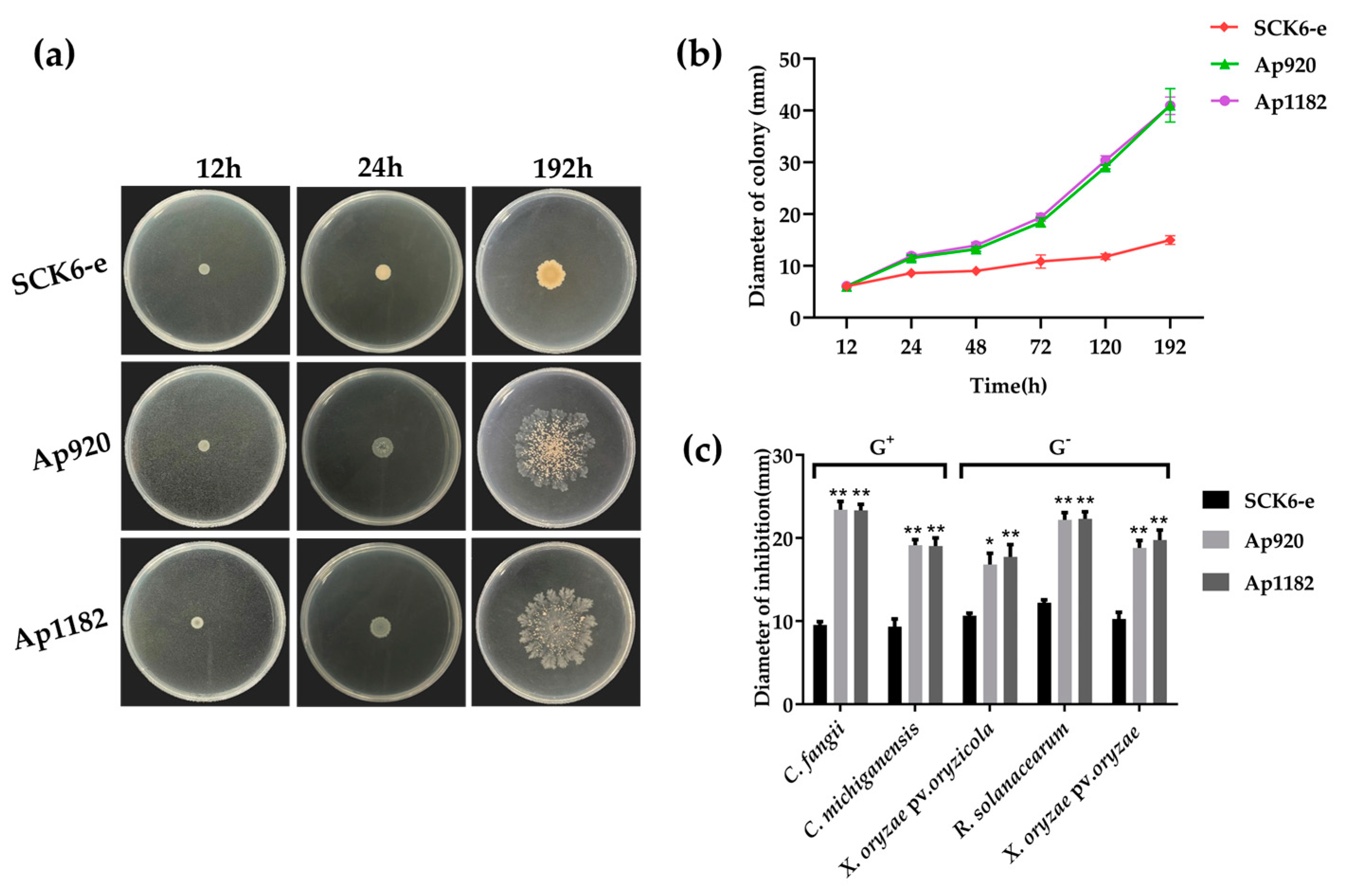Ijms 24 10598 g001 Ijms 24 10598 g001