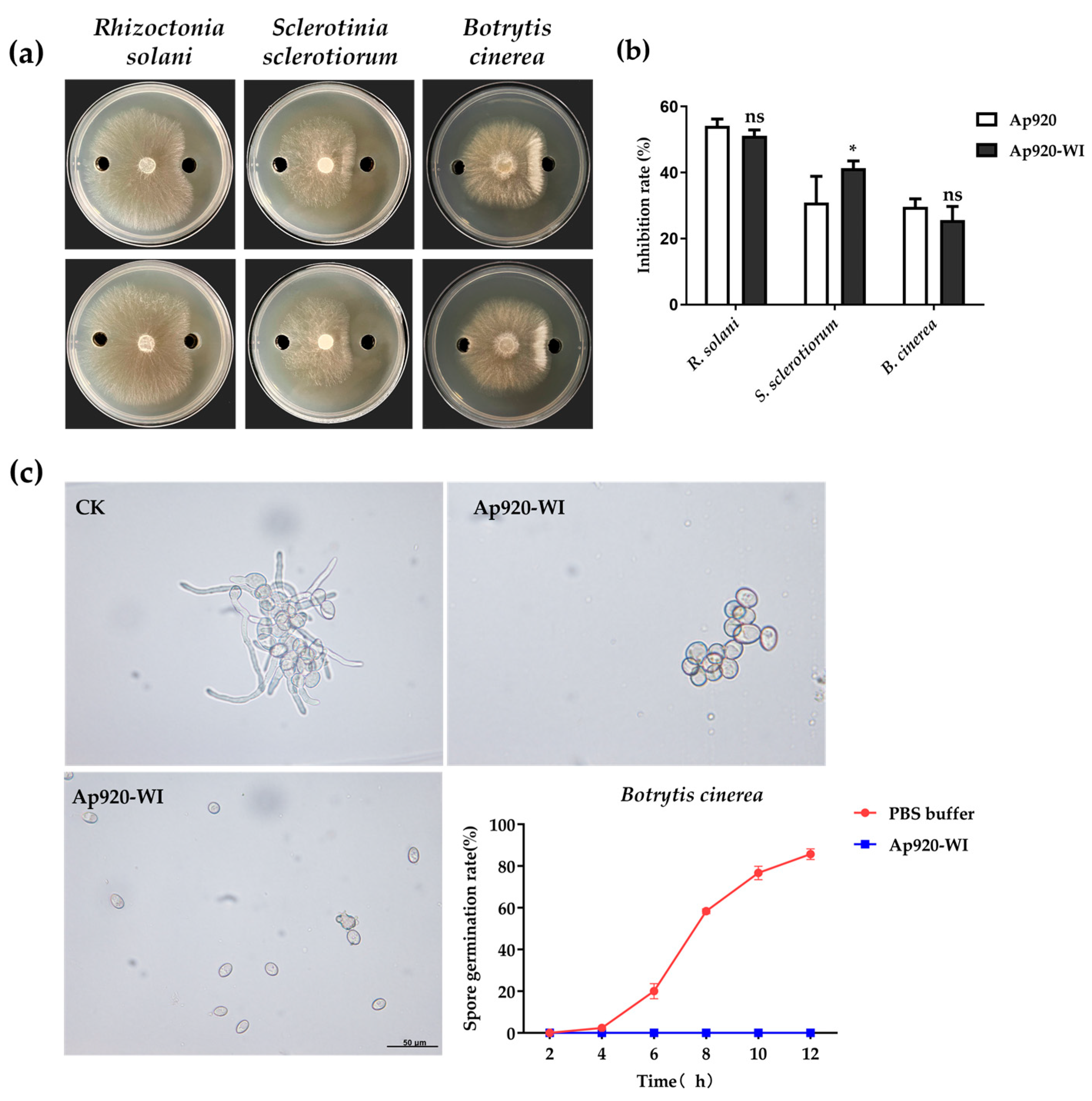 Ijms 24 10598 g004 Ijms 24 10598 g004