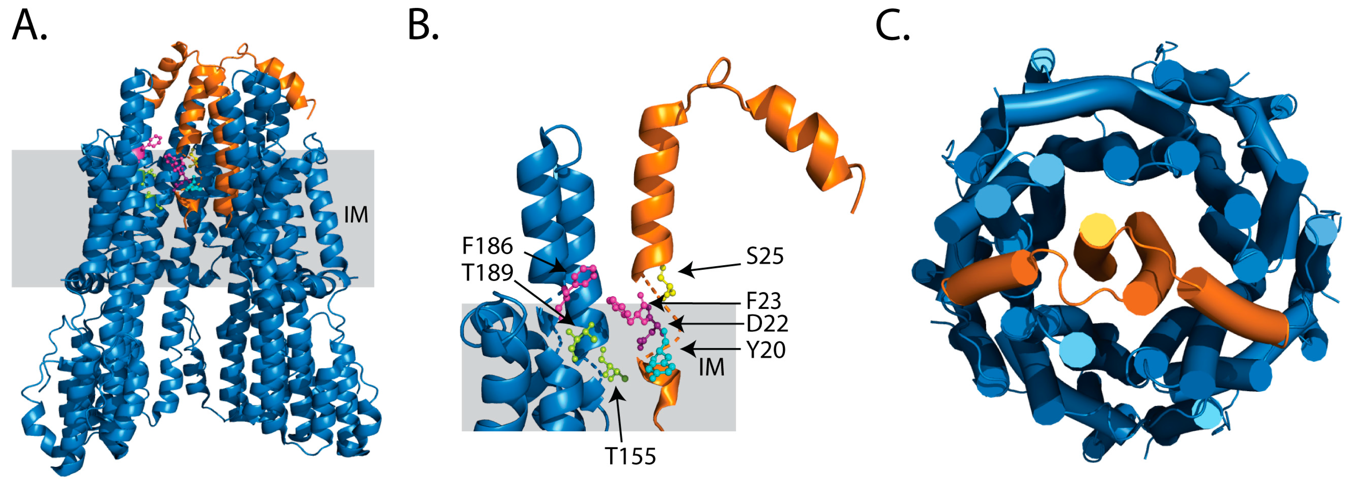 Ijms 24 10601 g002 Ijms 24 10601 g002