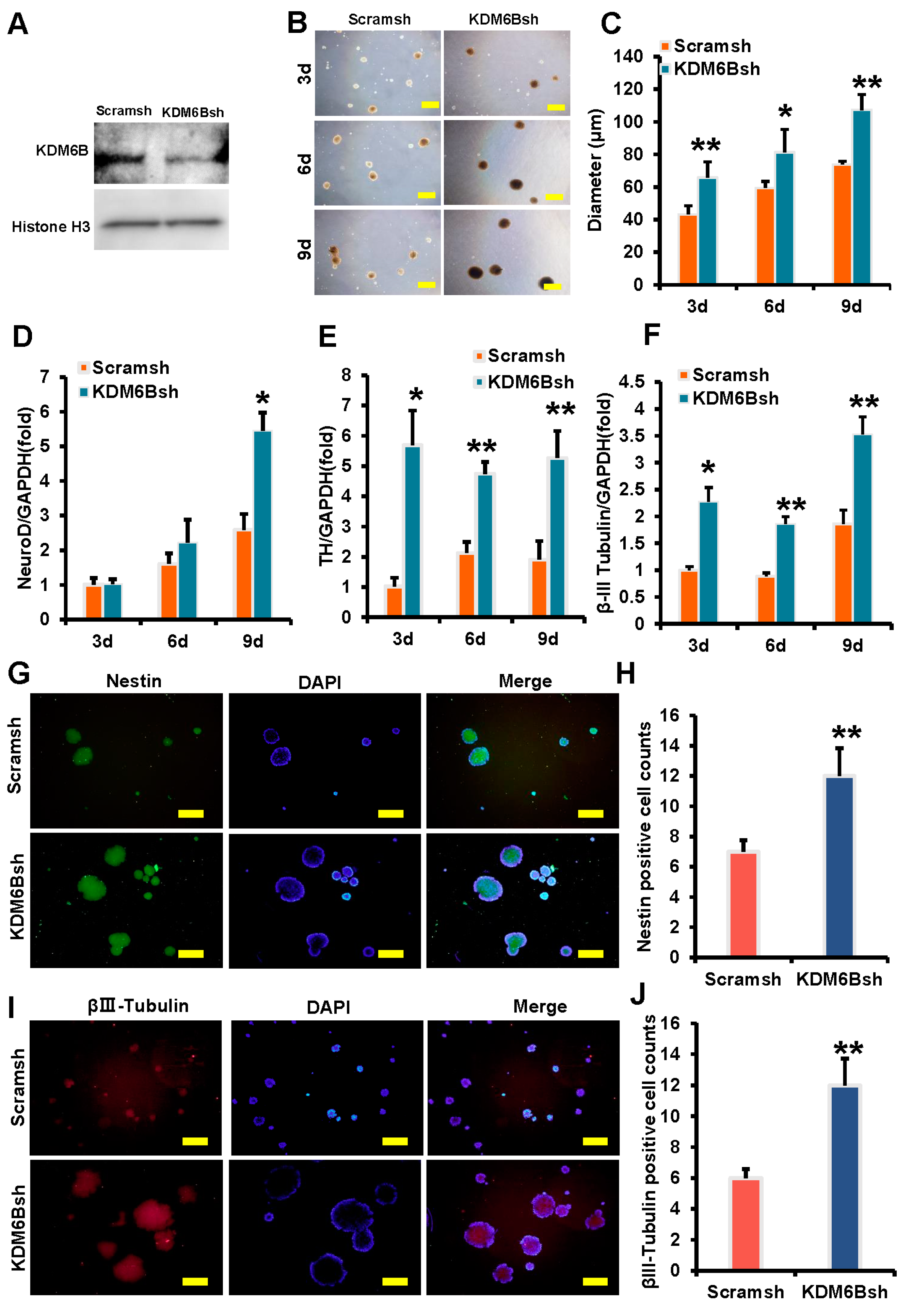 Ijms 24 10608 g001 Ijms 24 10608 g001