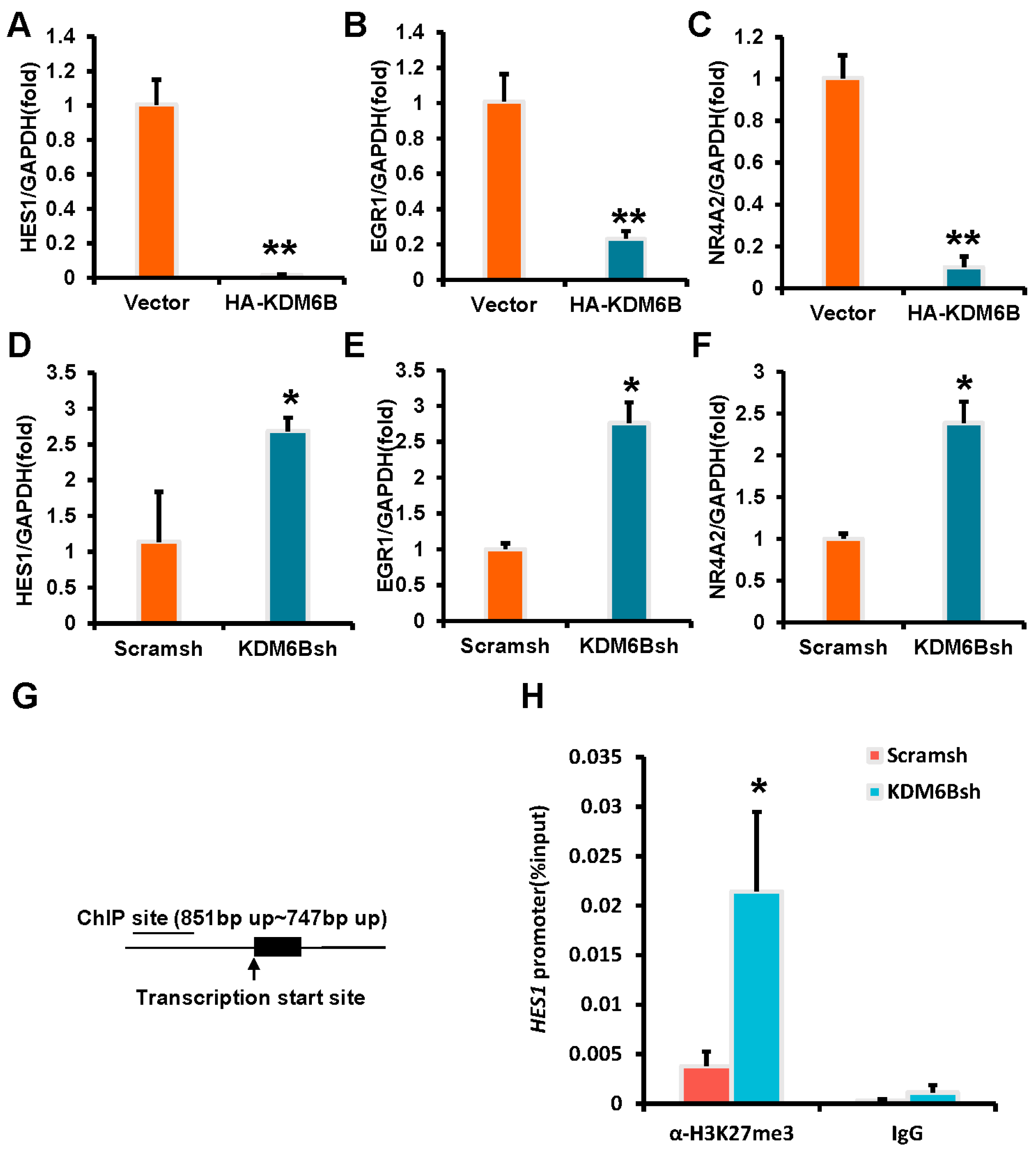 Ijms 24 10608 g008 Ijms 24 10608 g008