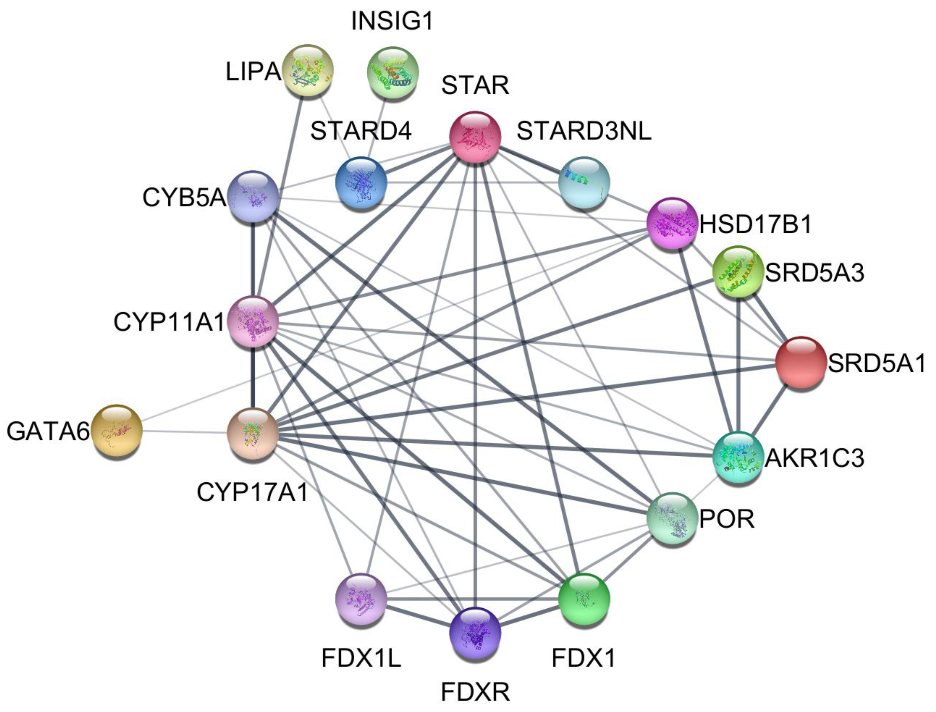 Ijms 24 10611 g005 Ijms 24 10611 g005