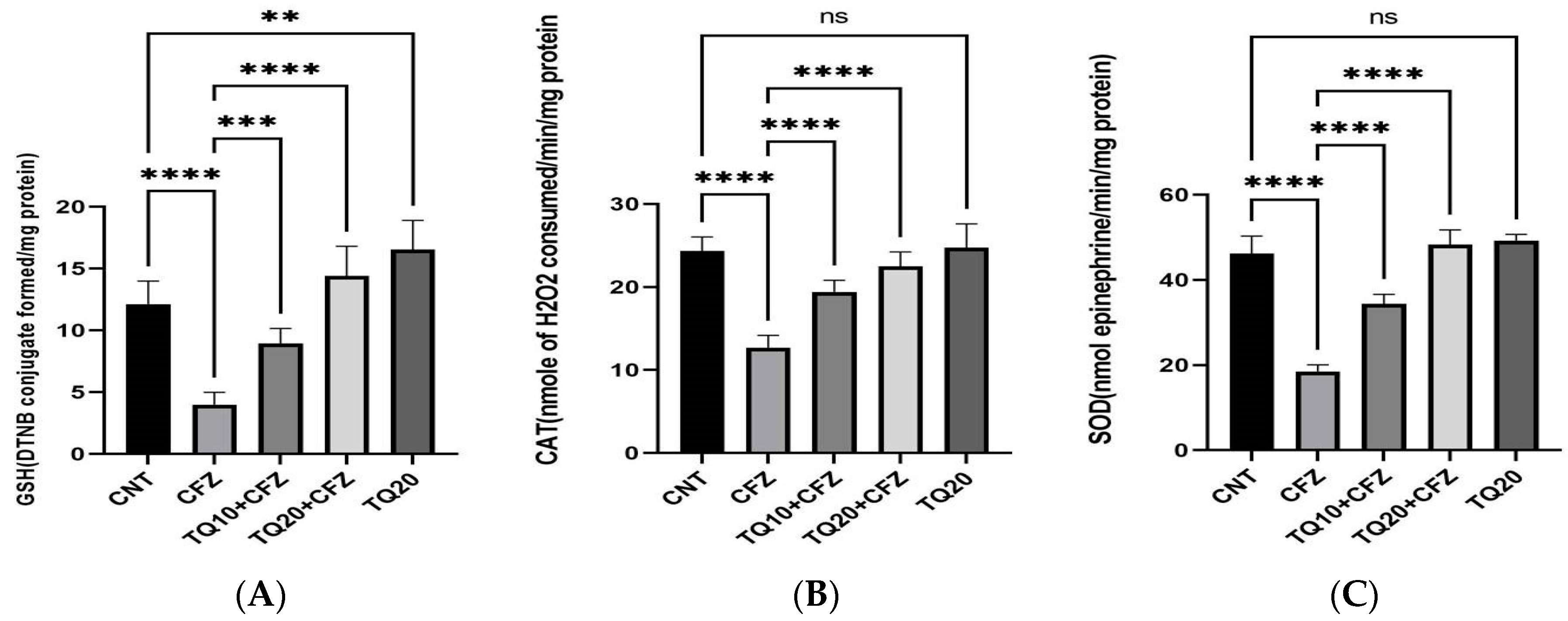 Ijms 24 10621 g003 Ijms 24 10621 g003