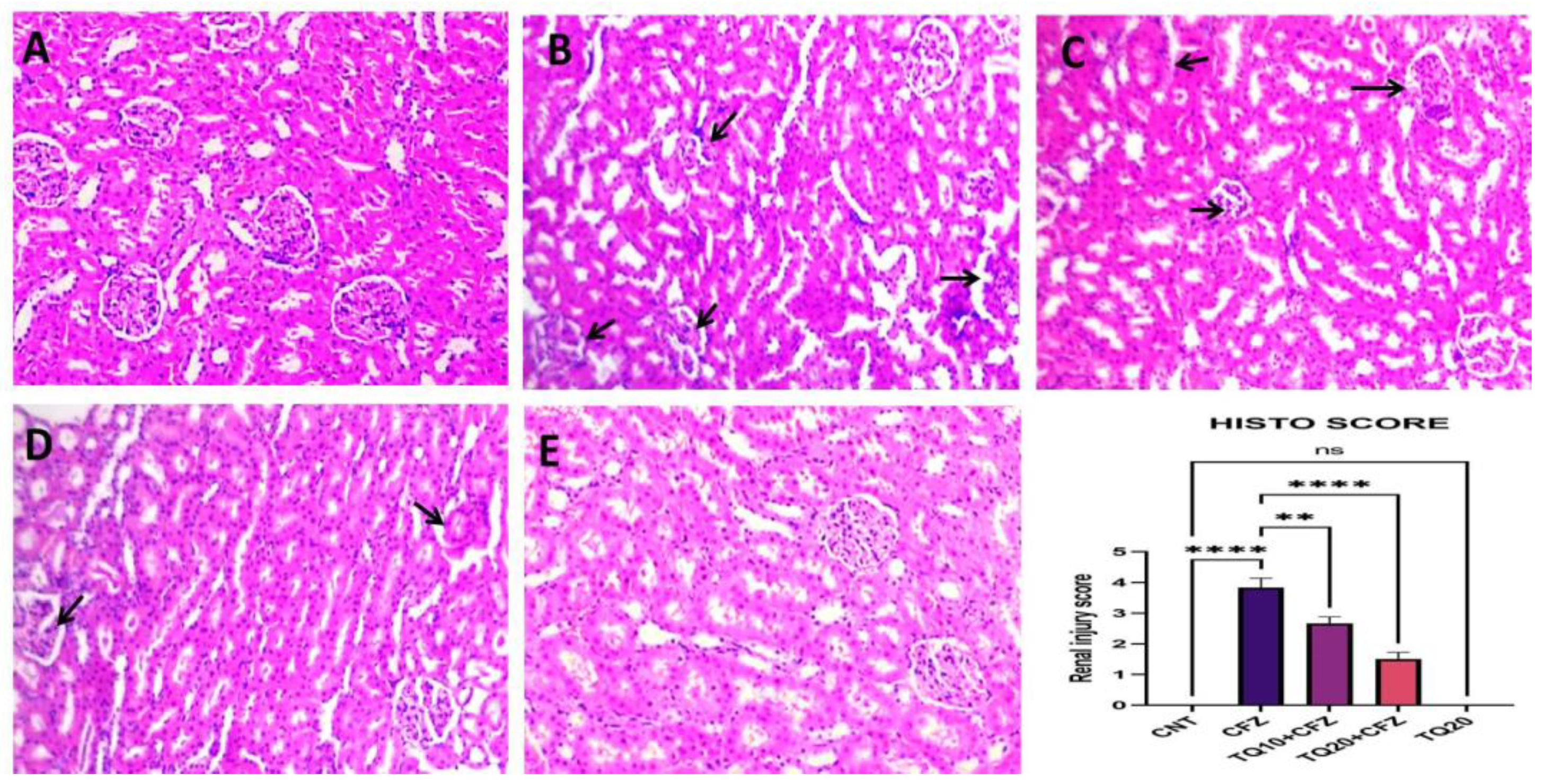 Ijms 24 10621 g008 Ijms 24 10621 g008