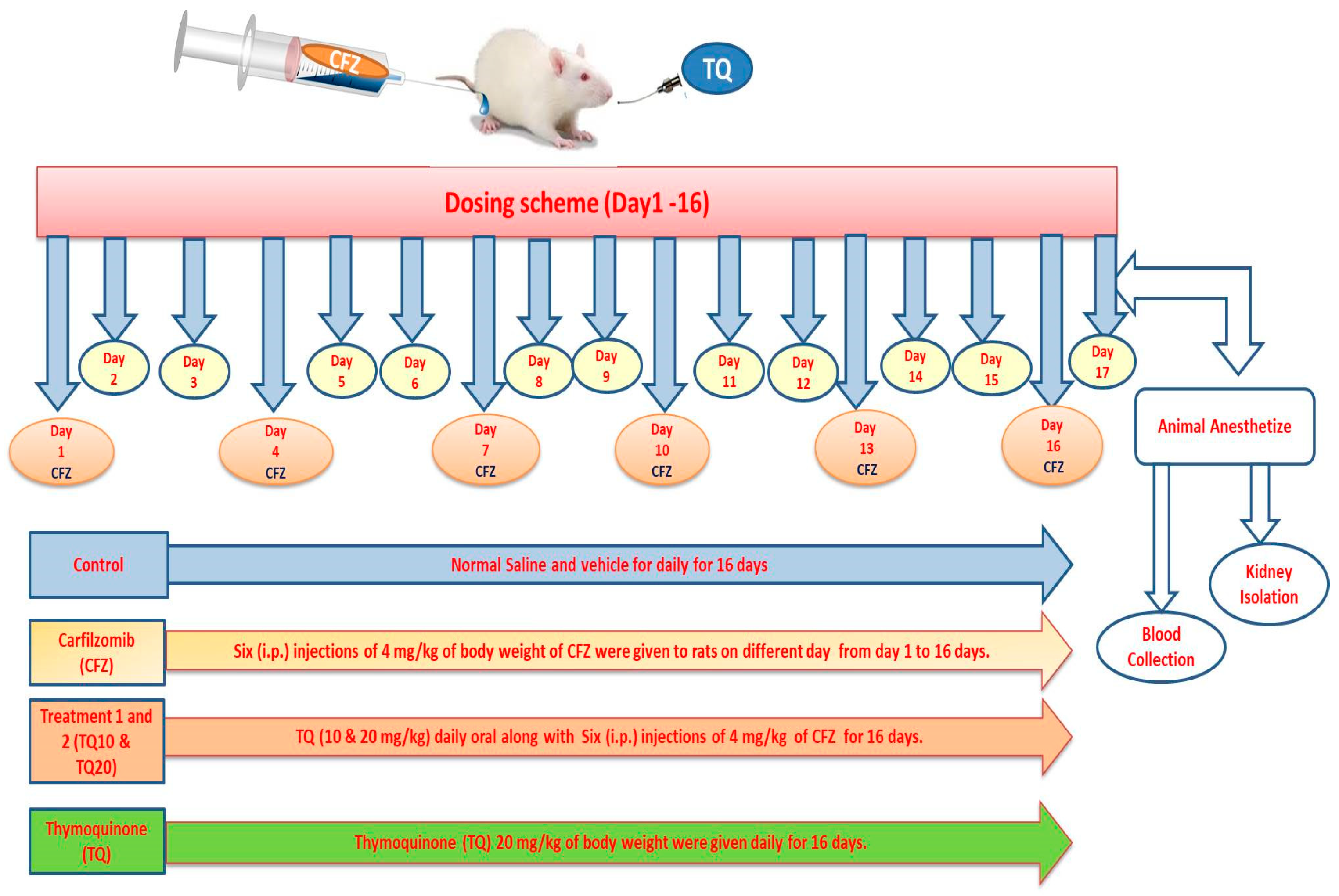 Ijms 24 10621 g009 Ijms 24 10621 g009