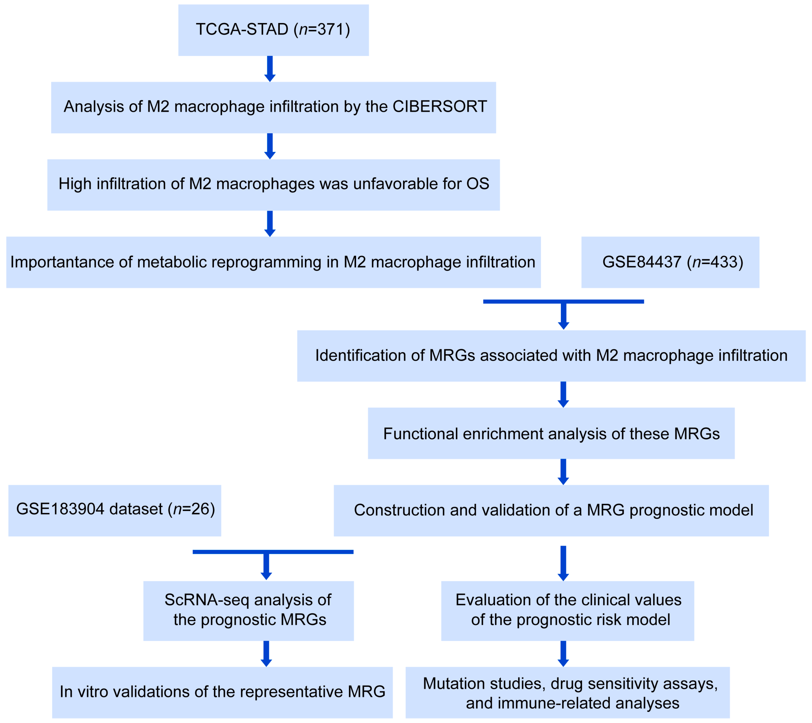 Ijms 24 10625 g001 Ijms 24 10625 g001