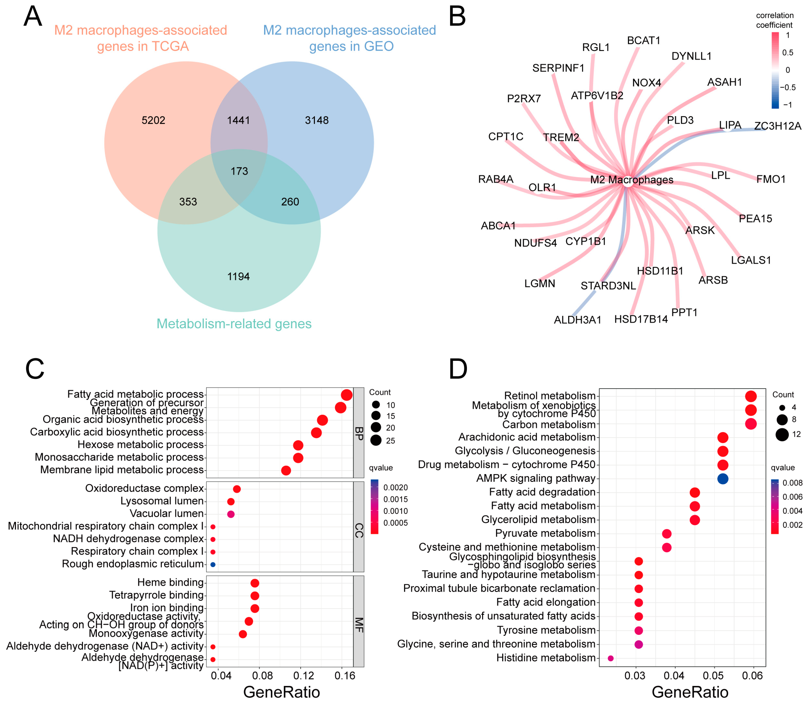 Ijms 24 10625 g003 Ijms 24 10625 g003