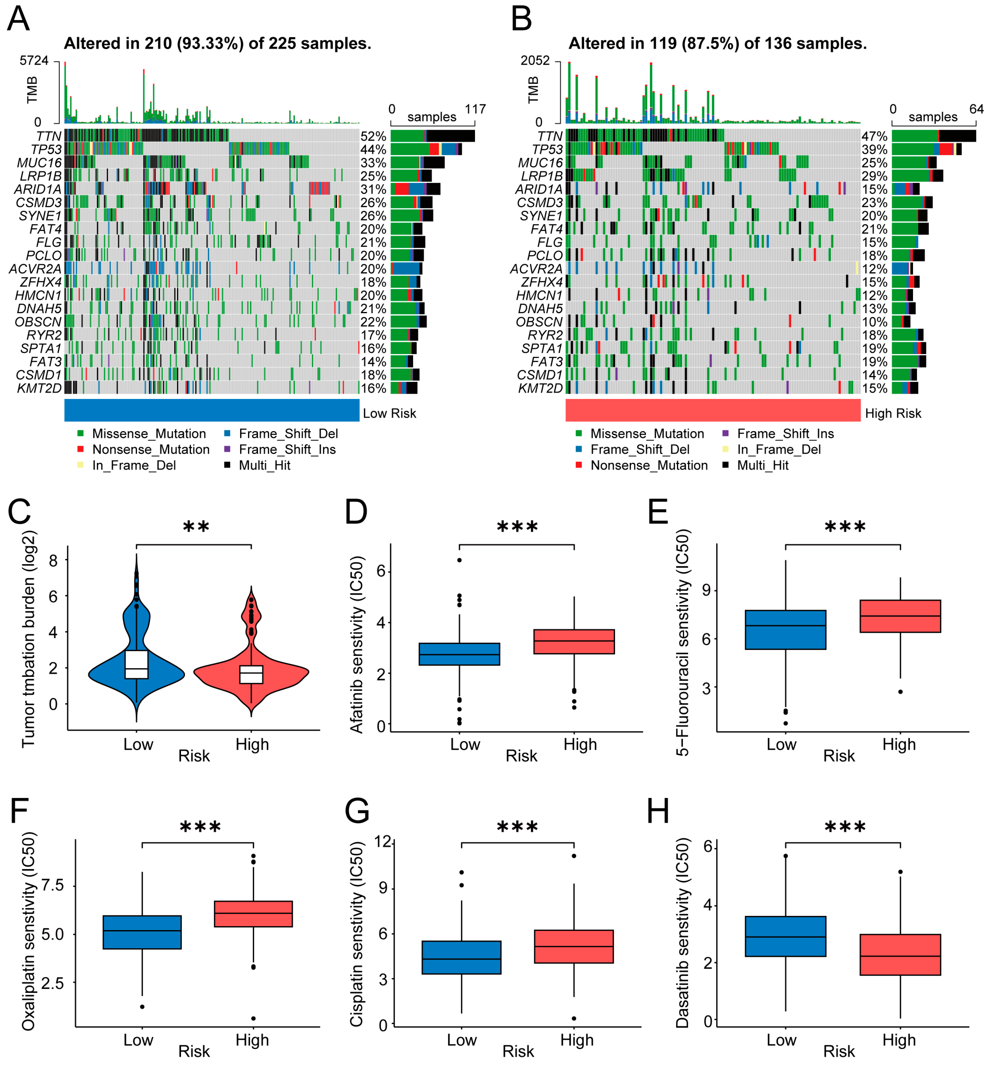 Ijms 24 10625 g006 Ijms 24 10625 g006