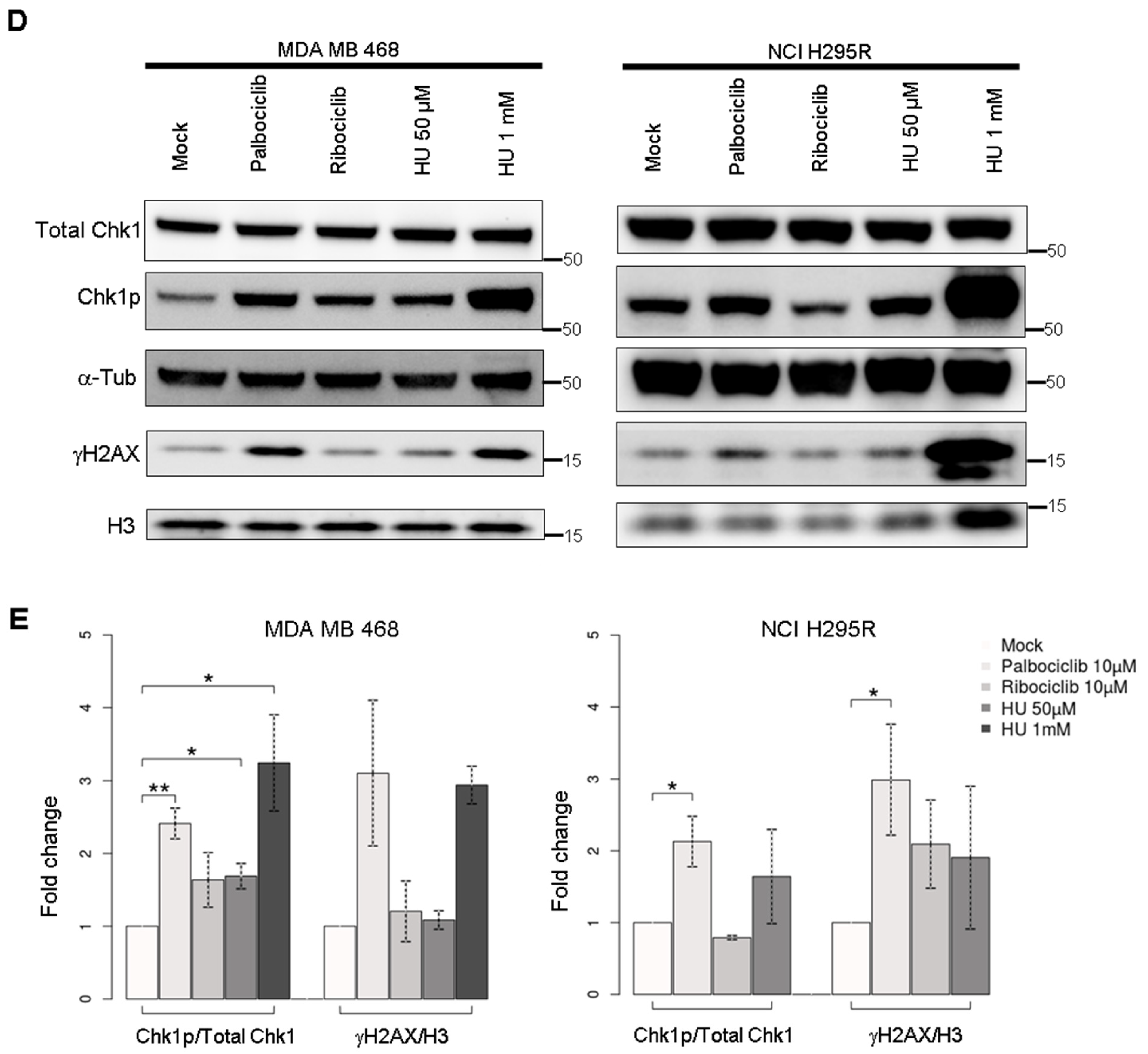 Ijms 24 10629 g002b Ijms 24 10629 g002b