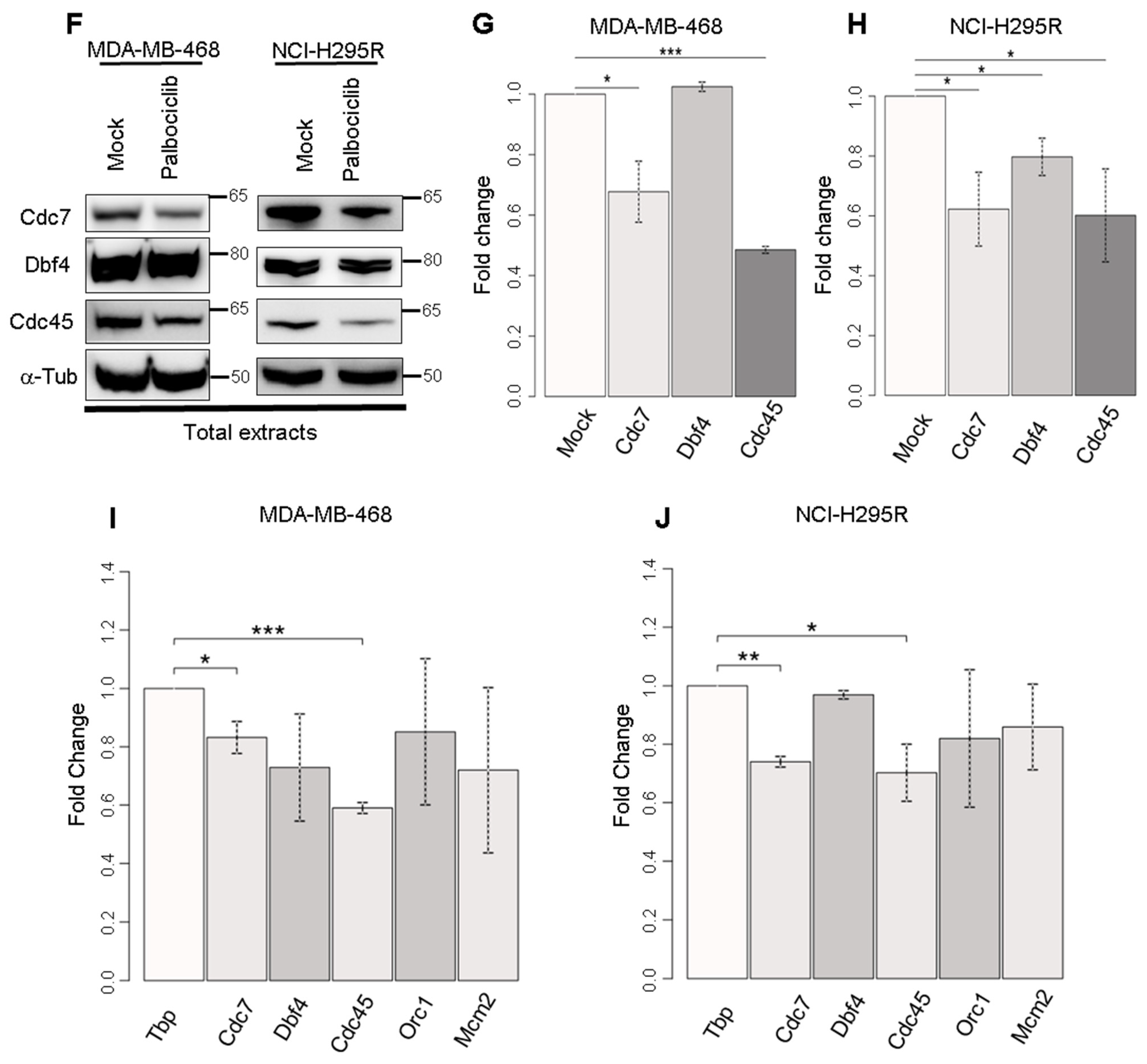 Ijms 24 10629 g005b Ijms 24 10629 g005b