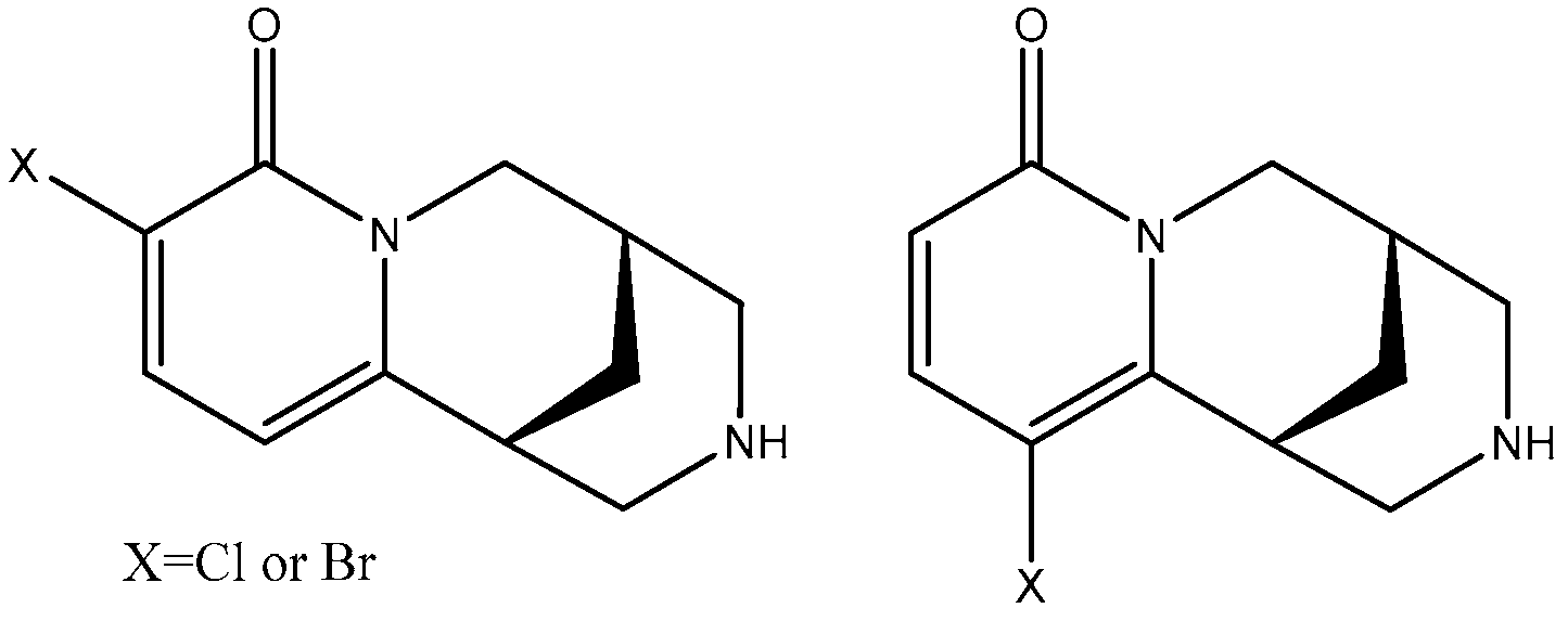 Ijms 24 10635 g001 Ijms 24 10635 g001